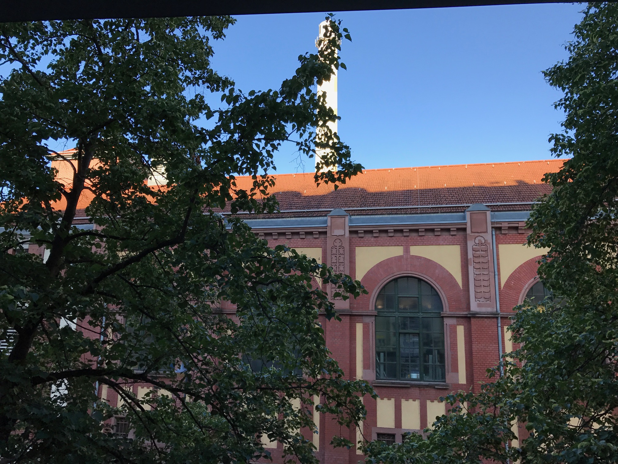Sicht aus dem Bürofenster Heidelberg