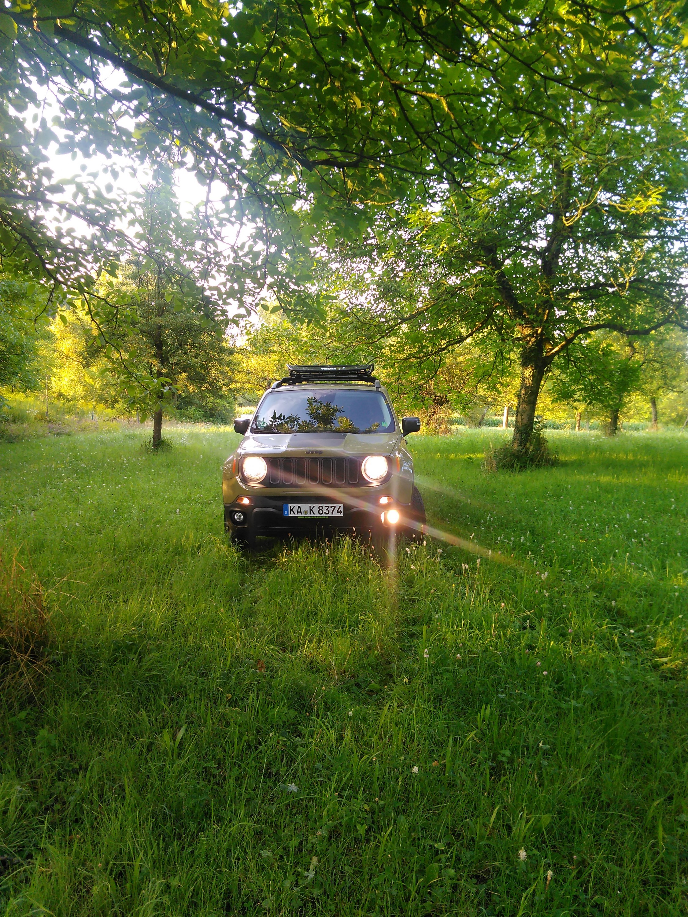 Morgenliche Fotosession