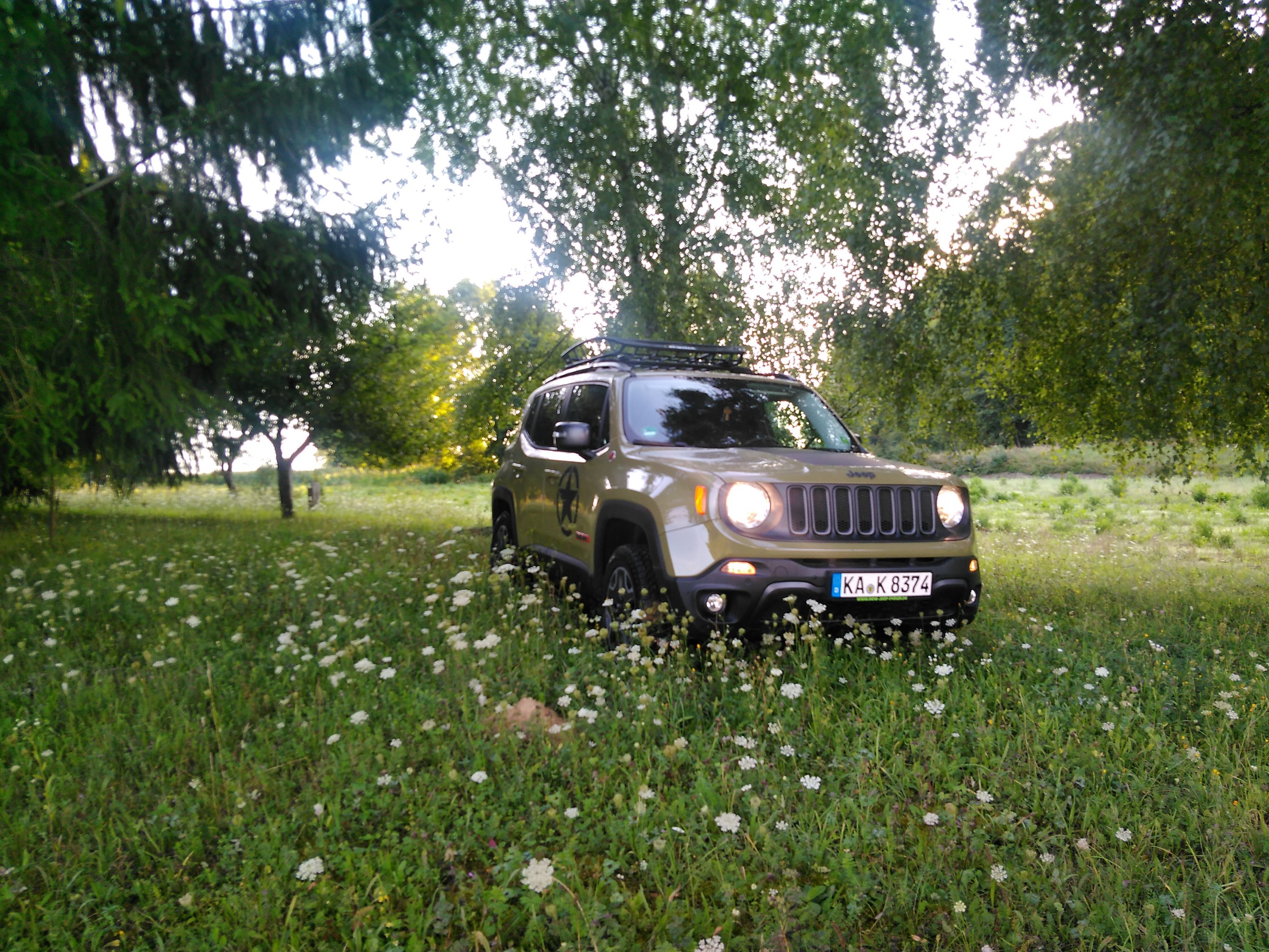 Morgenliche Fotosession