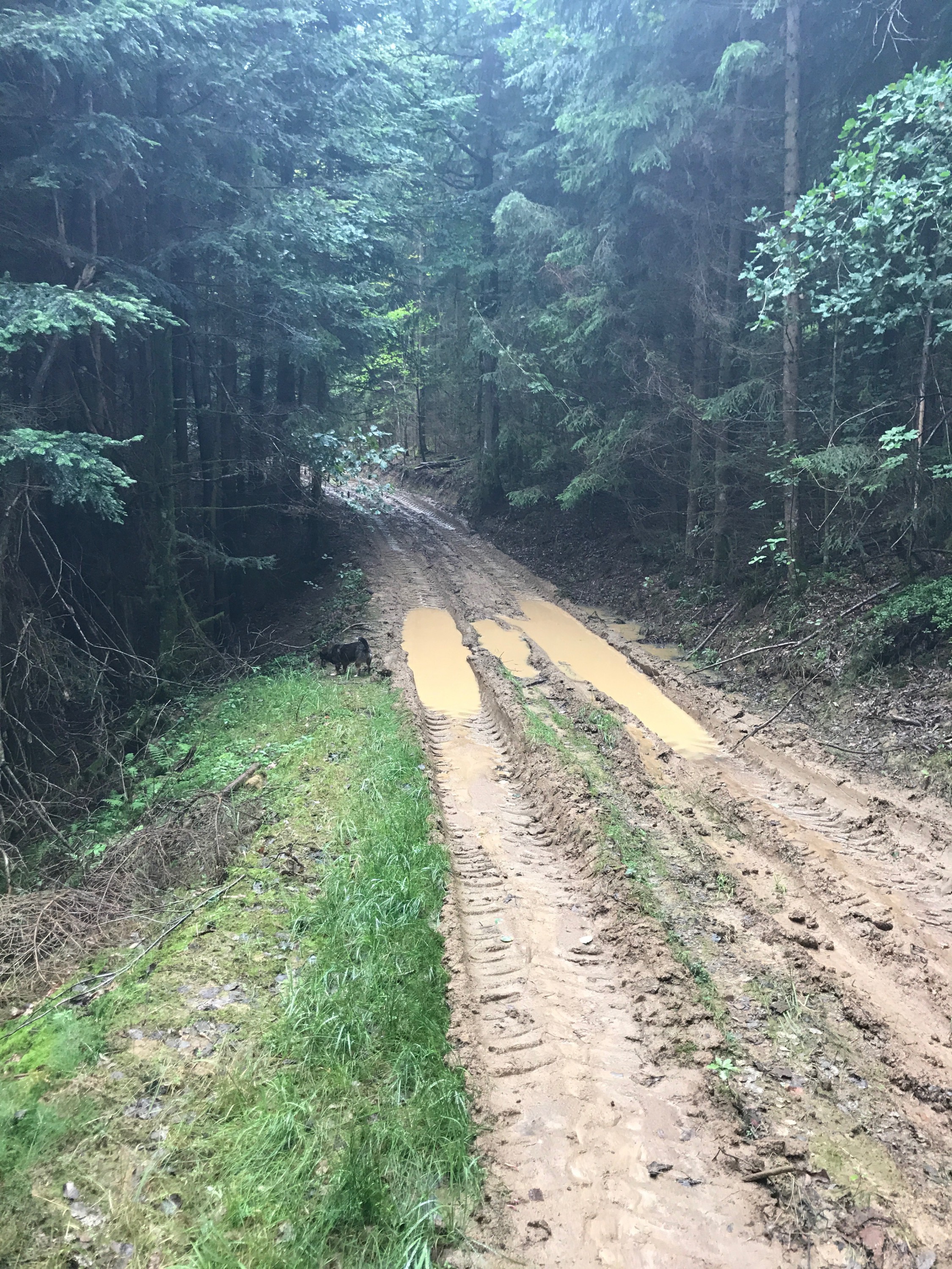 Fahren oder nicht fahren?