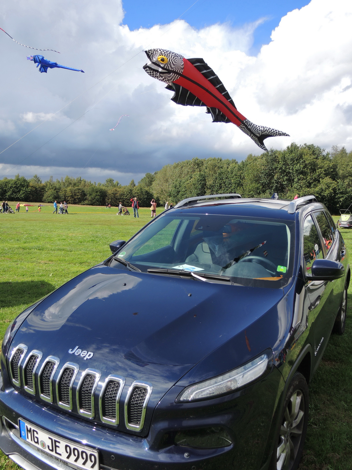 Fliegender Fisch über blauem Cherokee
