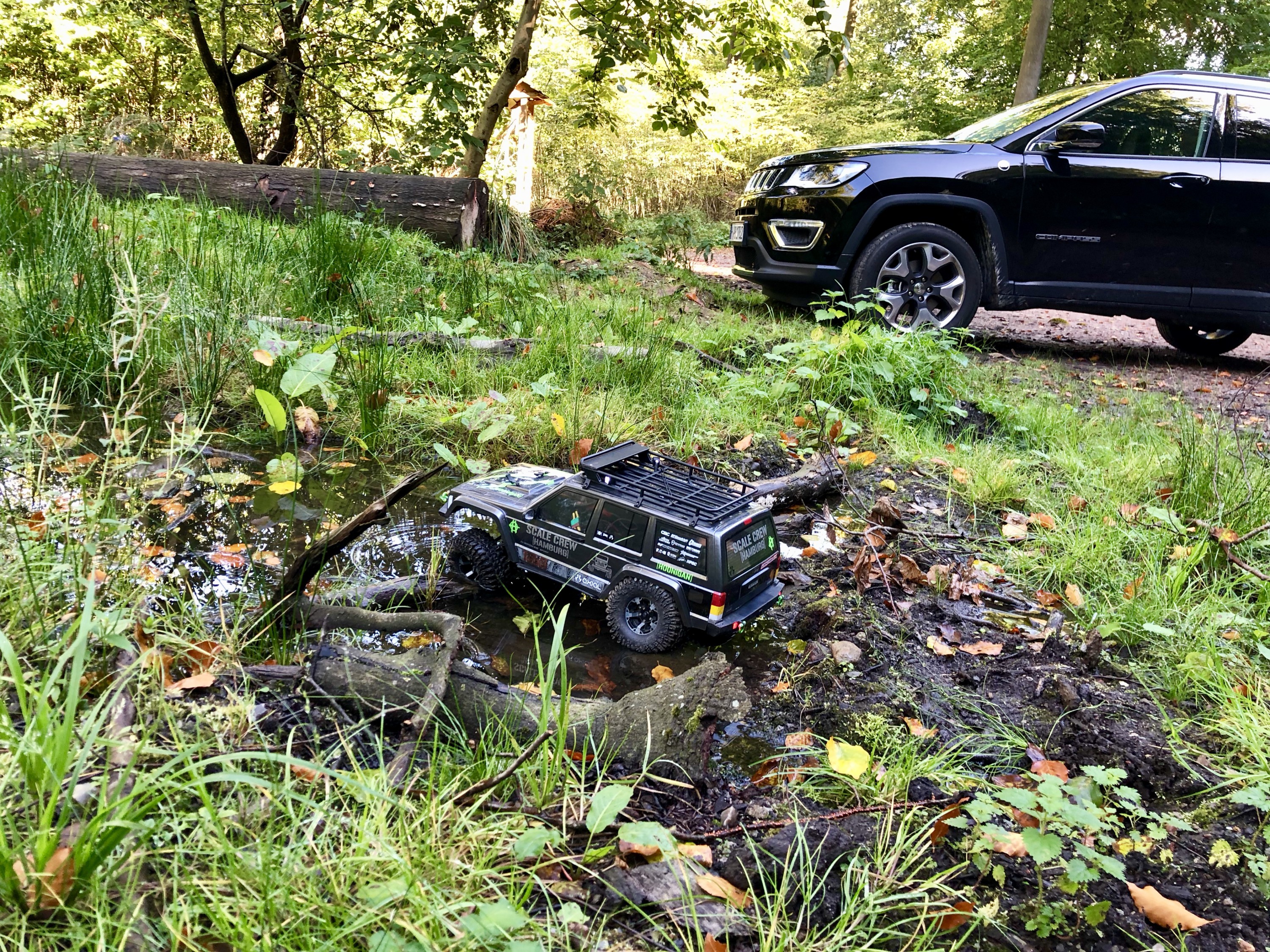 Kleiner Bruder im Wald