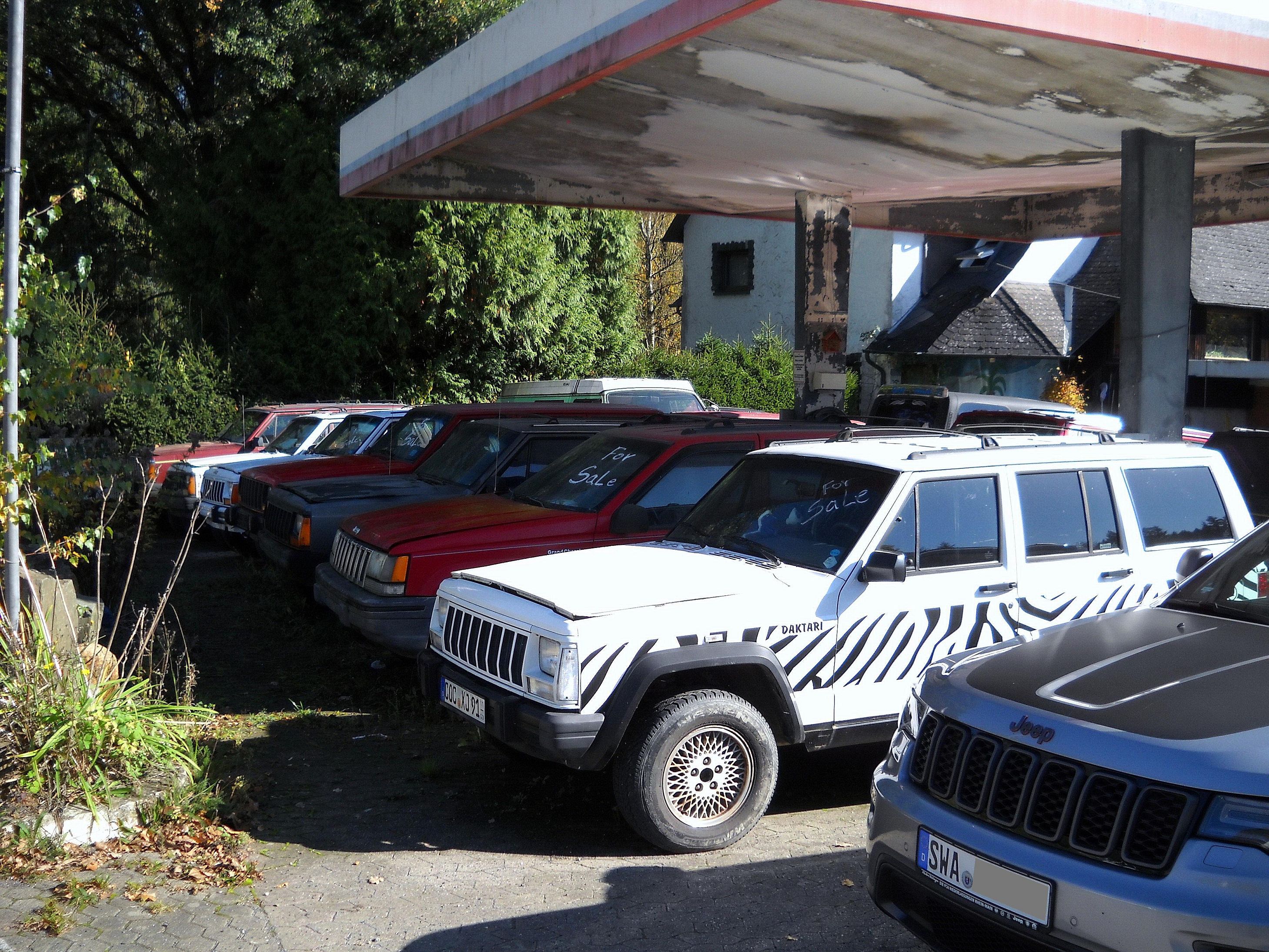 My GC visiting his ancestors