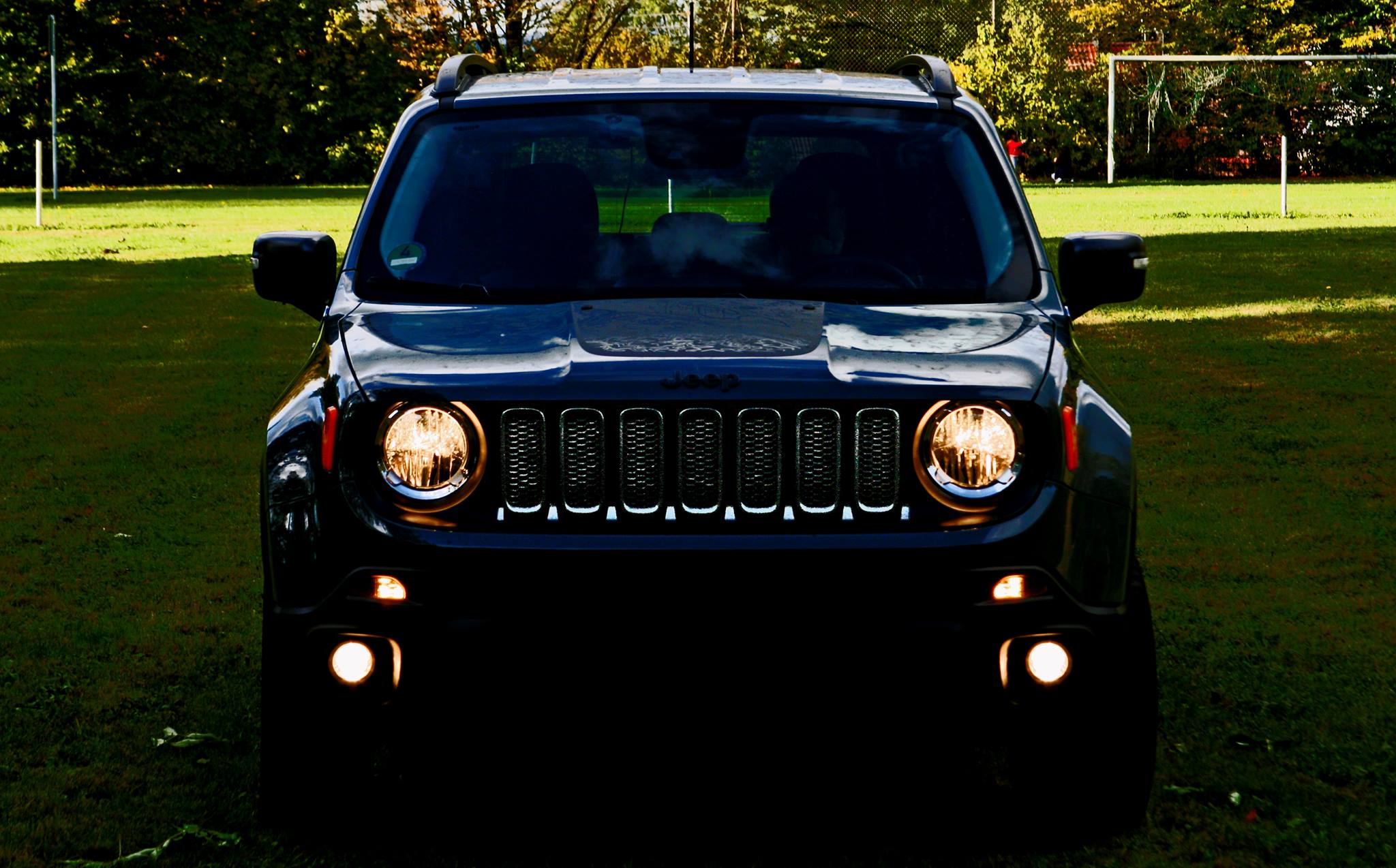 Renegade Desert Hawk