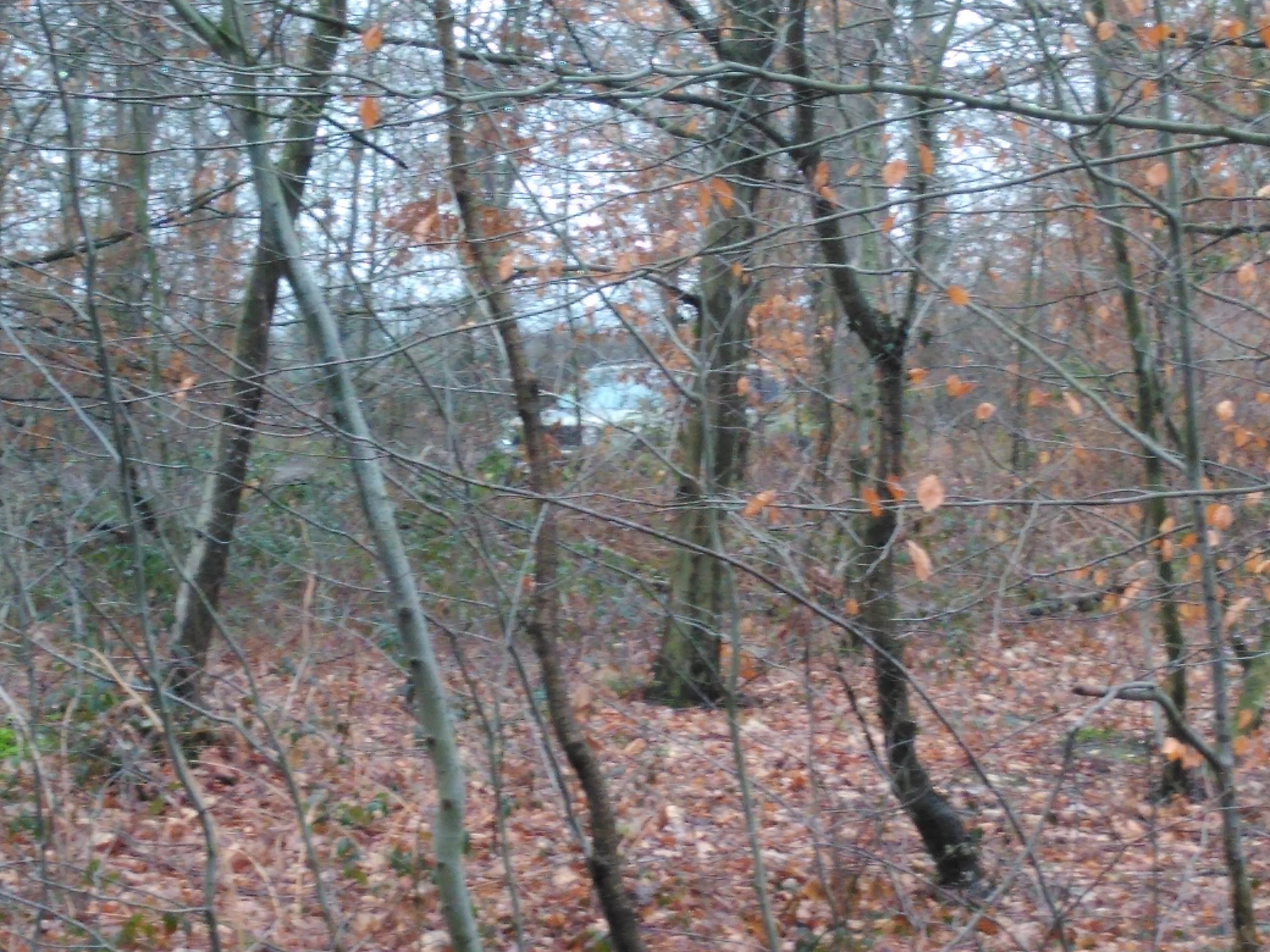 Ich hab ihn entdeckt ...