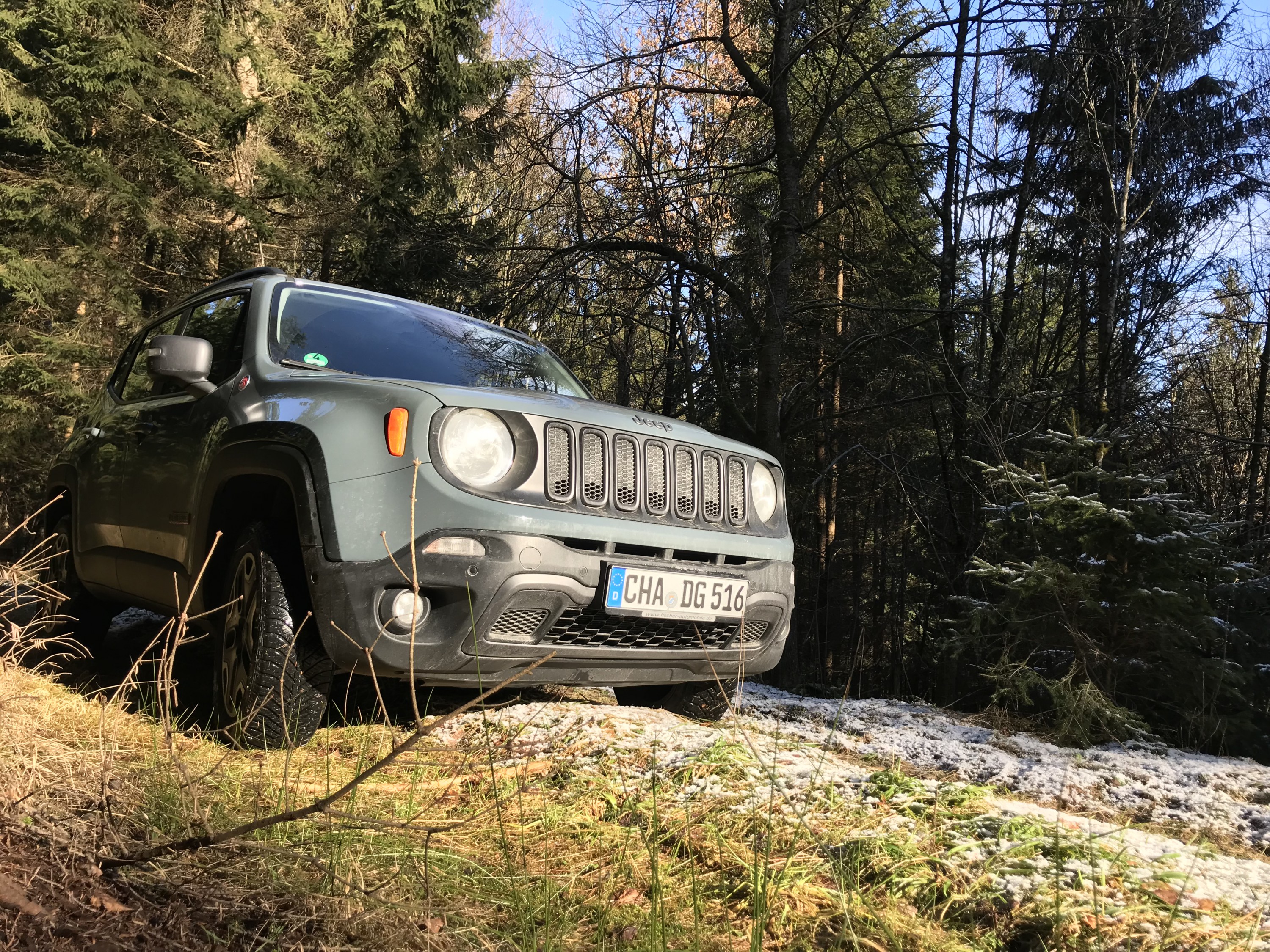 Hier gehört er hin!