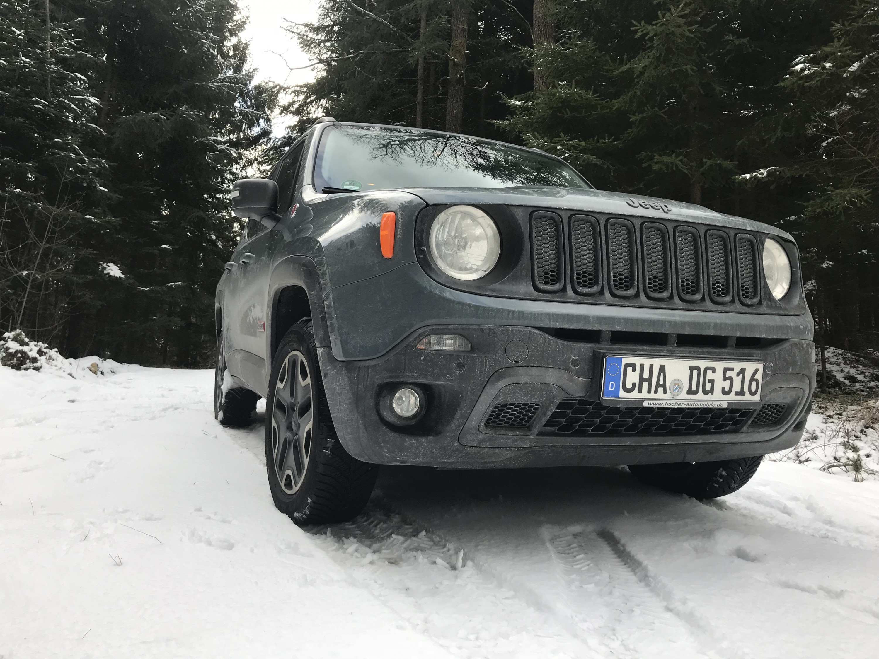 Kleiner Ausritt im Schnee