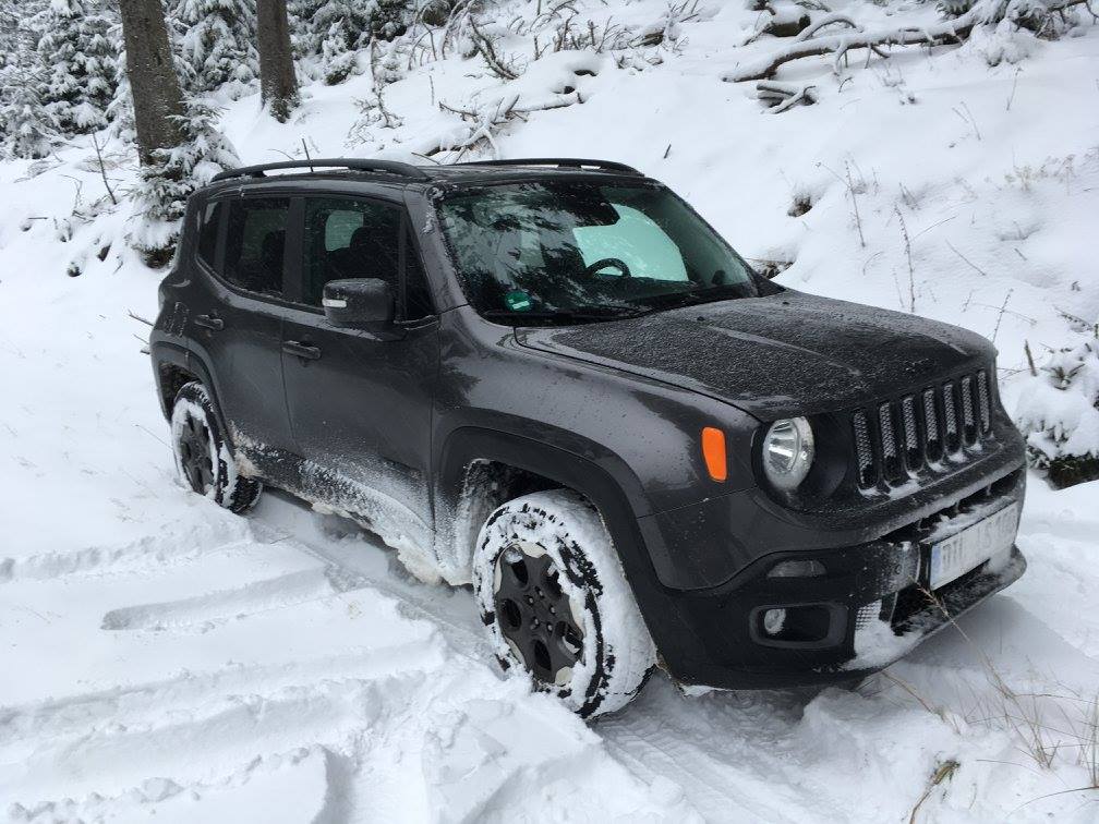 Nacht Adler im Schnee