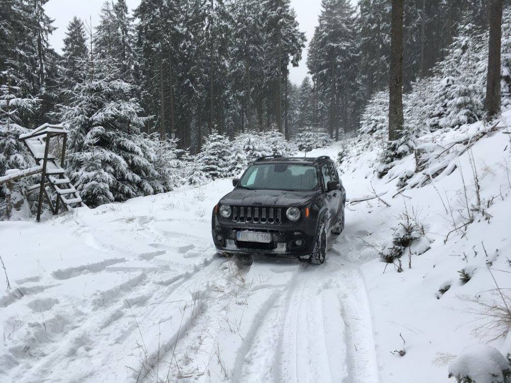 Nacht Adler im Schnee