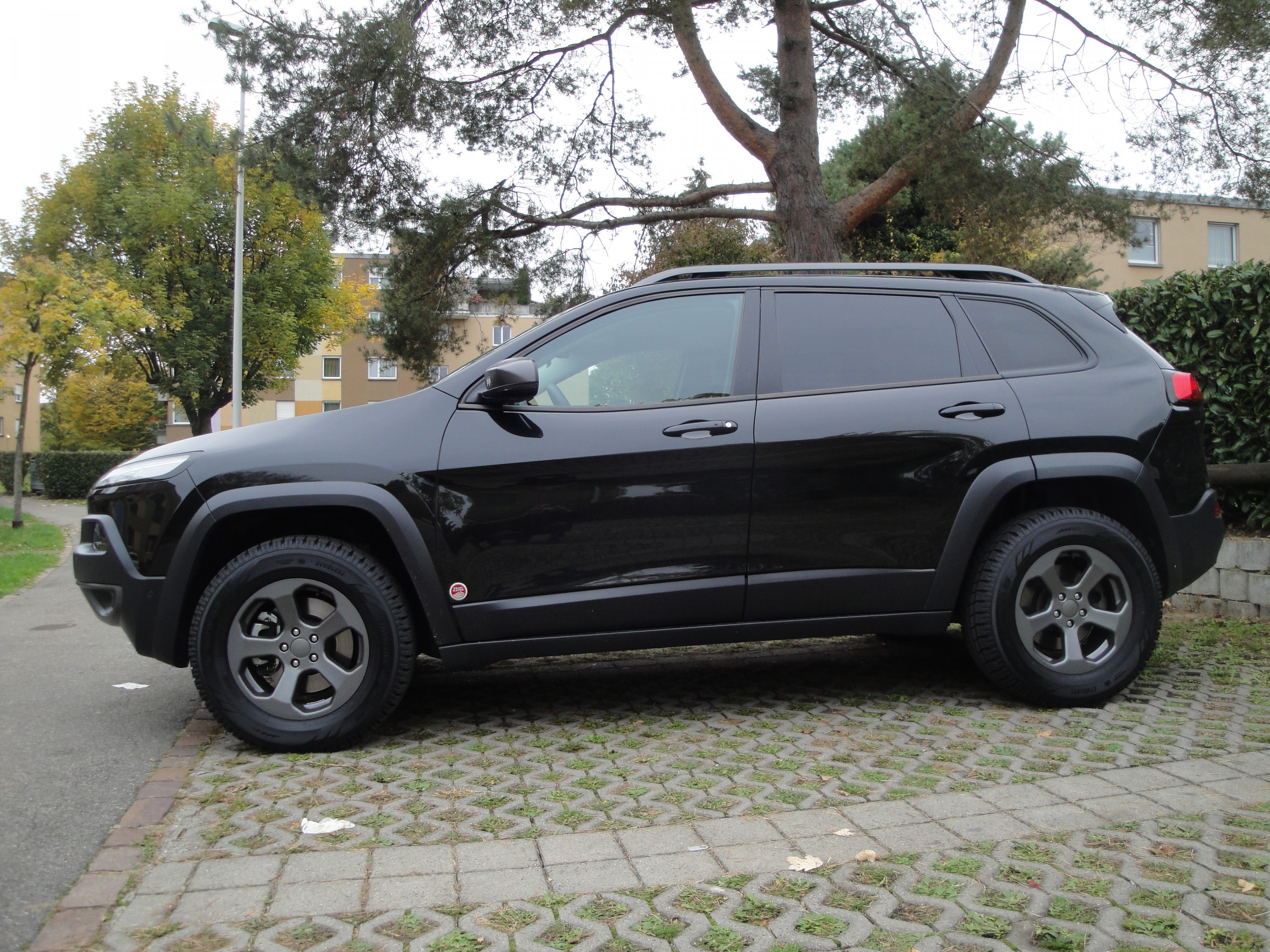 Traili mit BonZ und Winterpneu