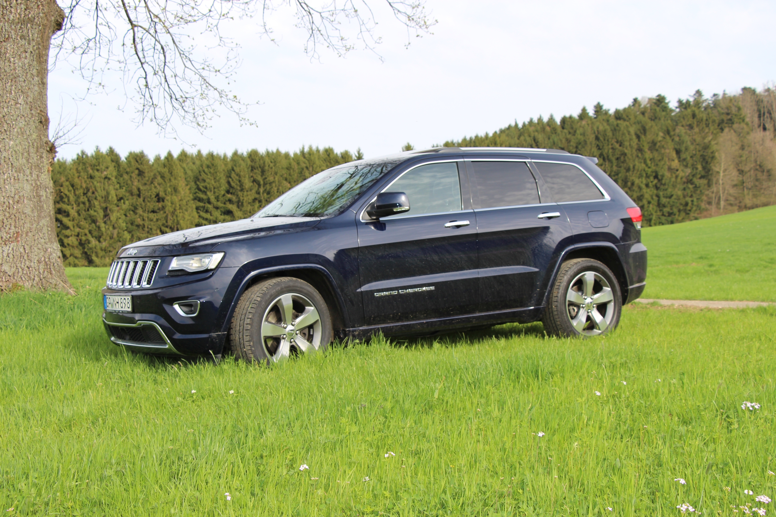 Posing im Grünen :-)