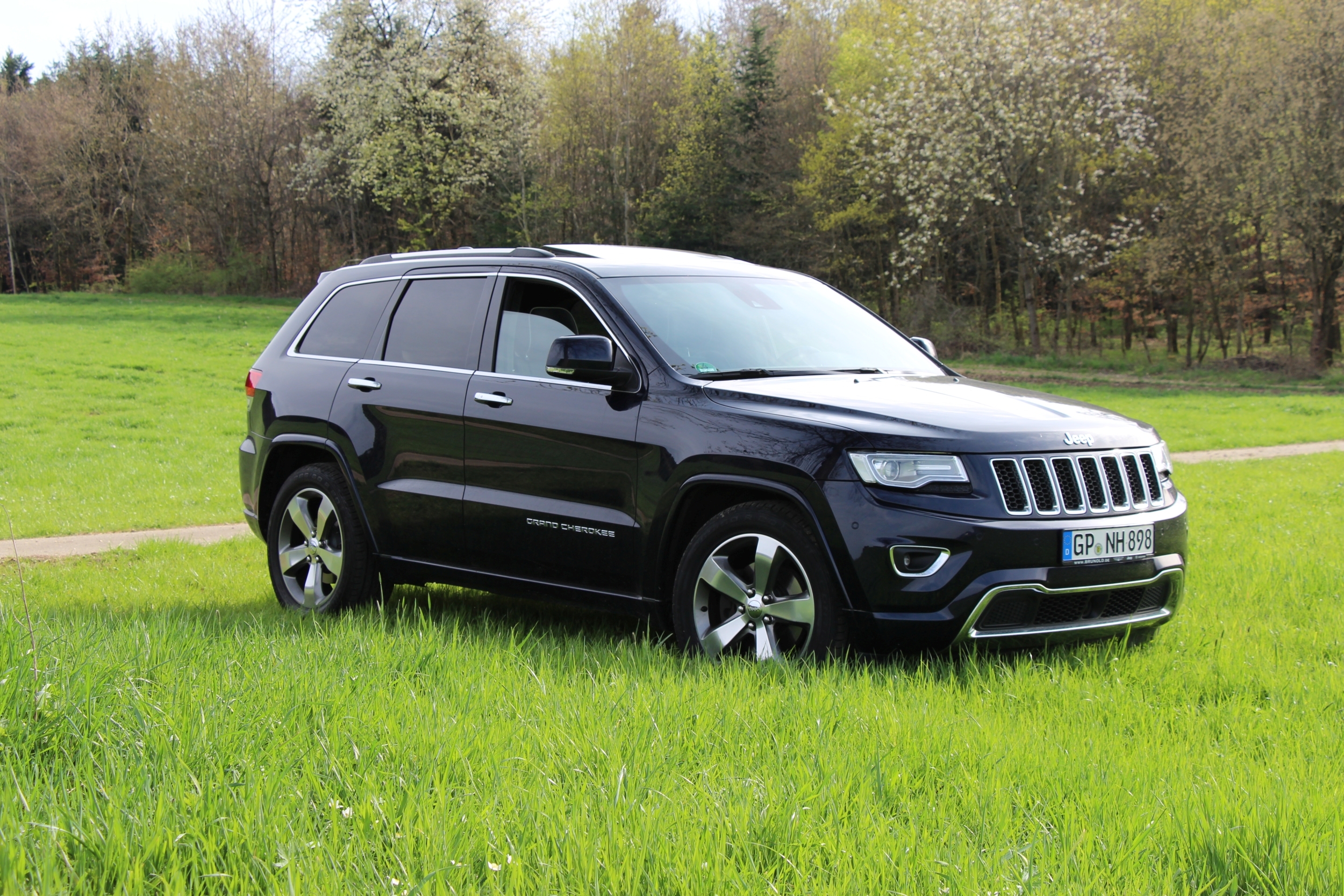 Posing im Grünen :-) 2.