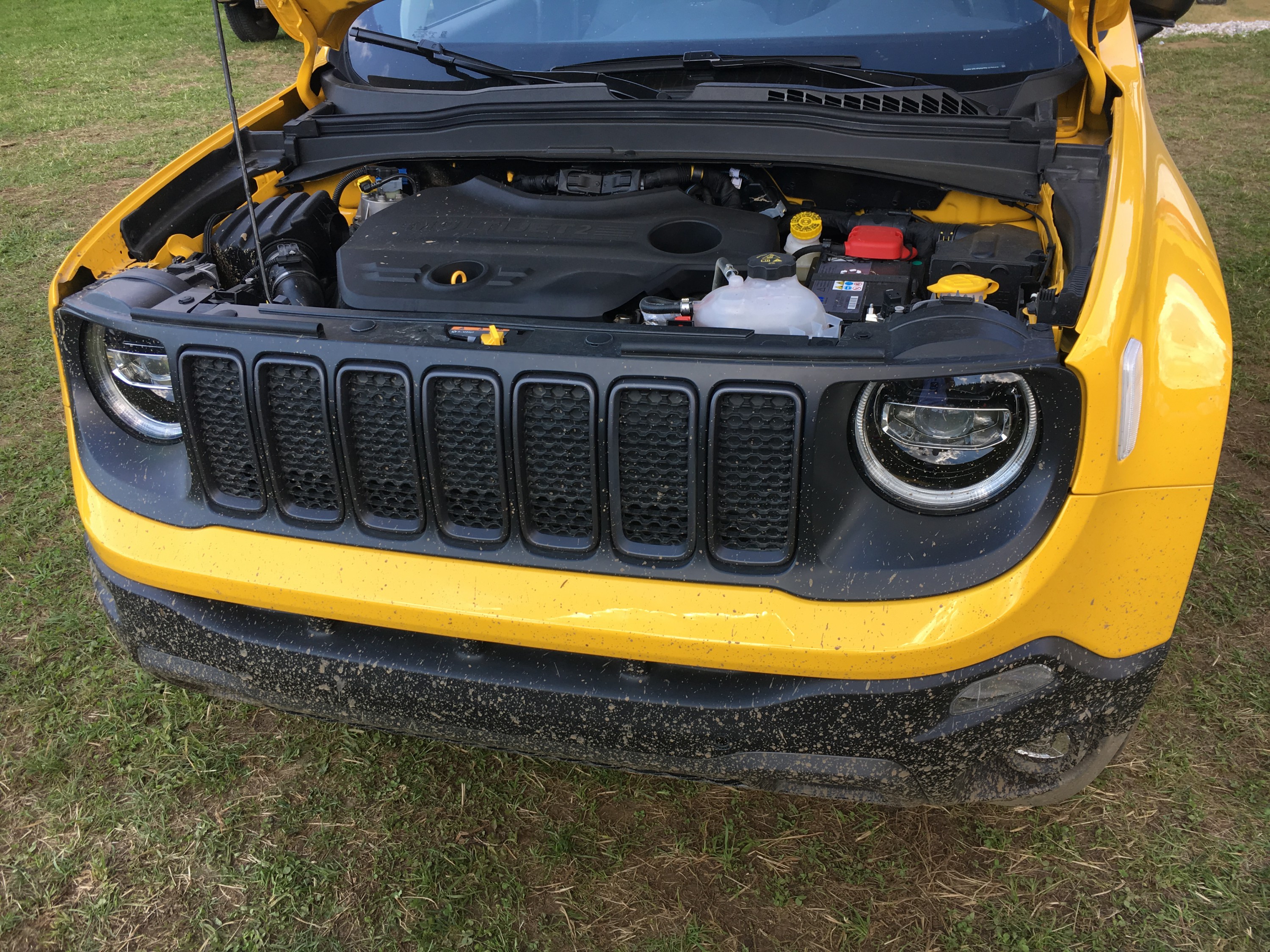 Jeep Renegade 2019er