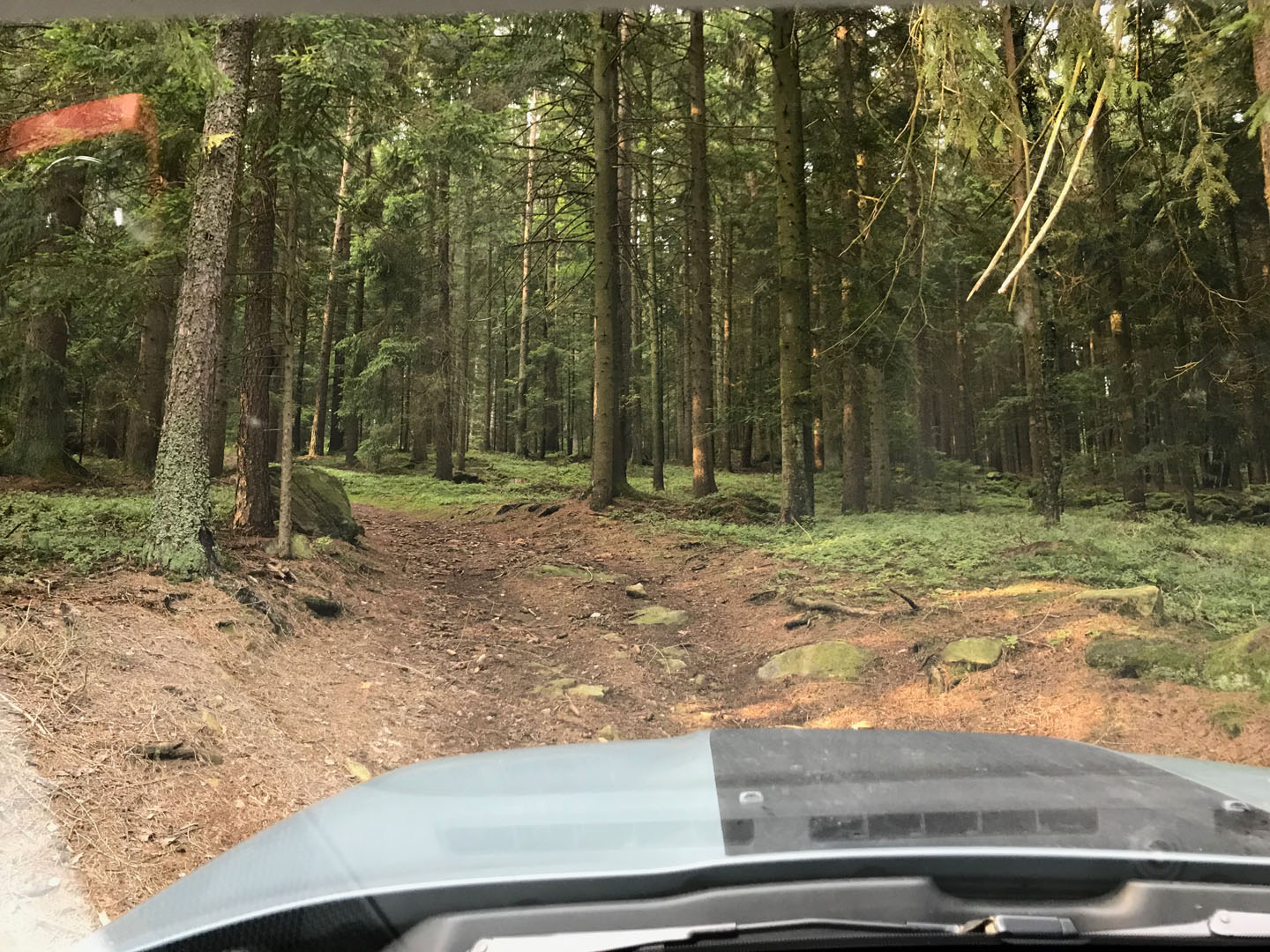 Offroad im Wald
