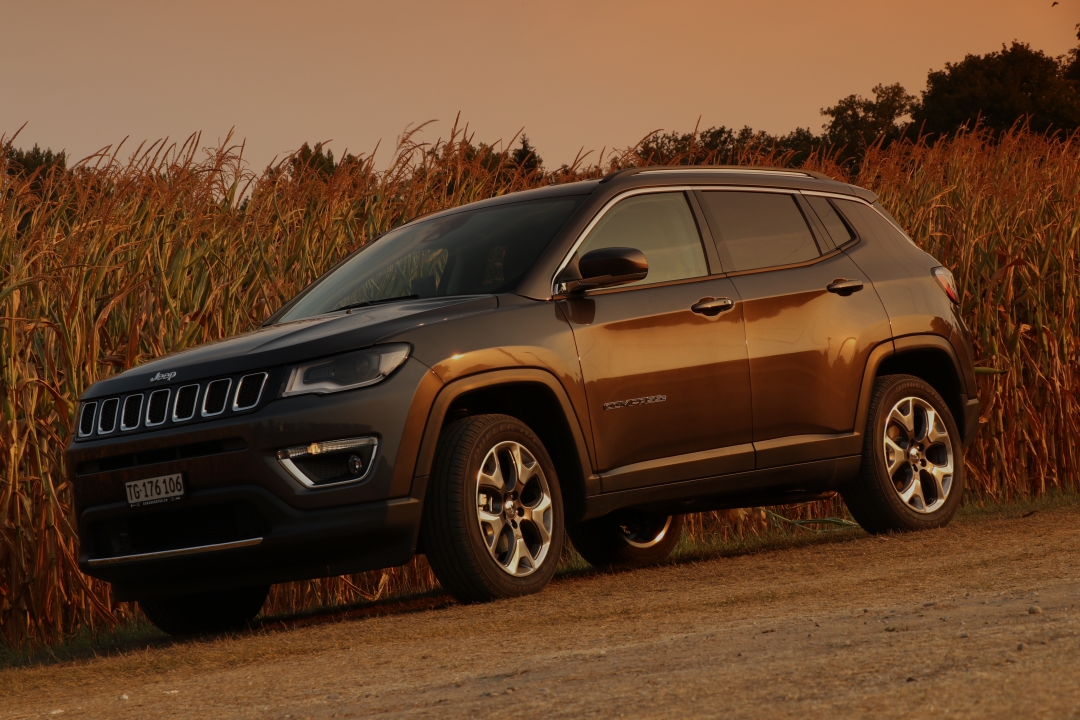 Eleganter Abenteurer