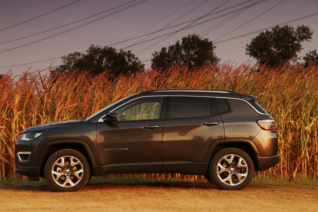 Eleganter Abenteurer