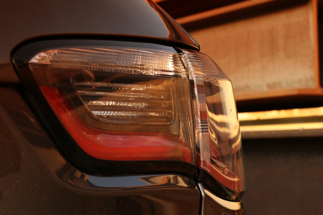 Eleganter Abenteurer