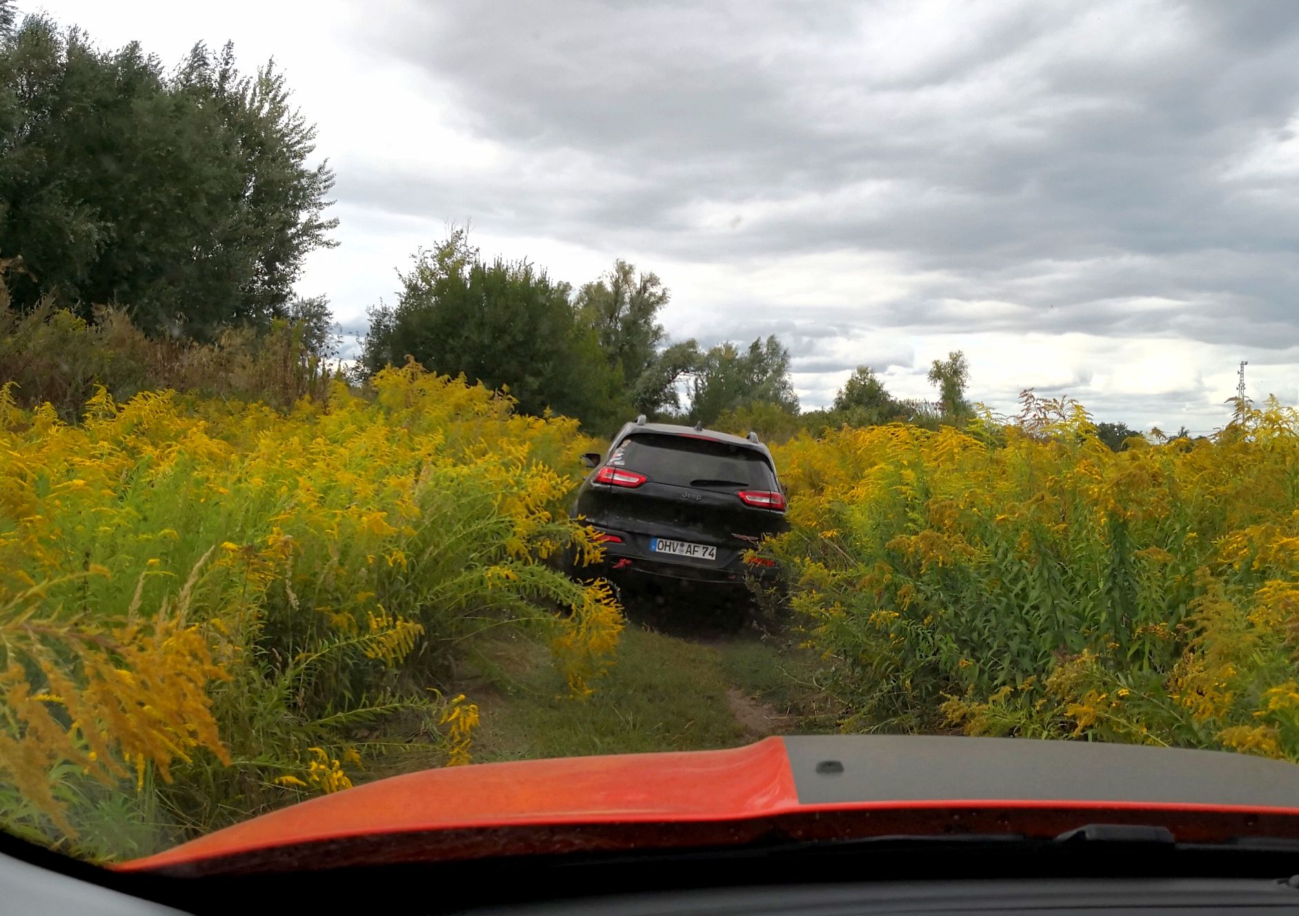 Berlin-Brandenburg NJF Treffen August 2018