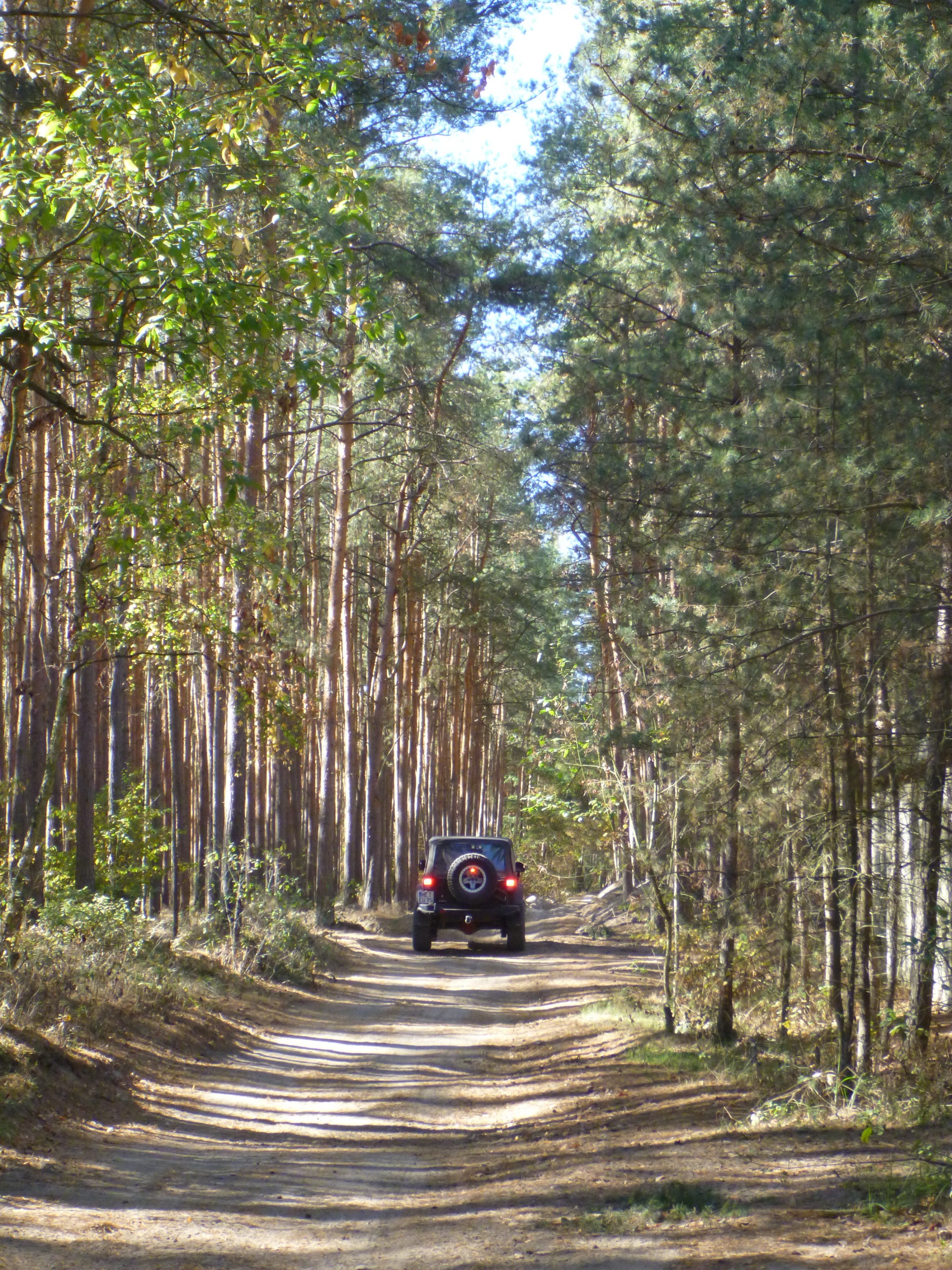 Offroadpark Wurzelsepp Peckfitz