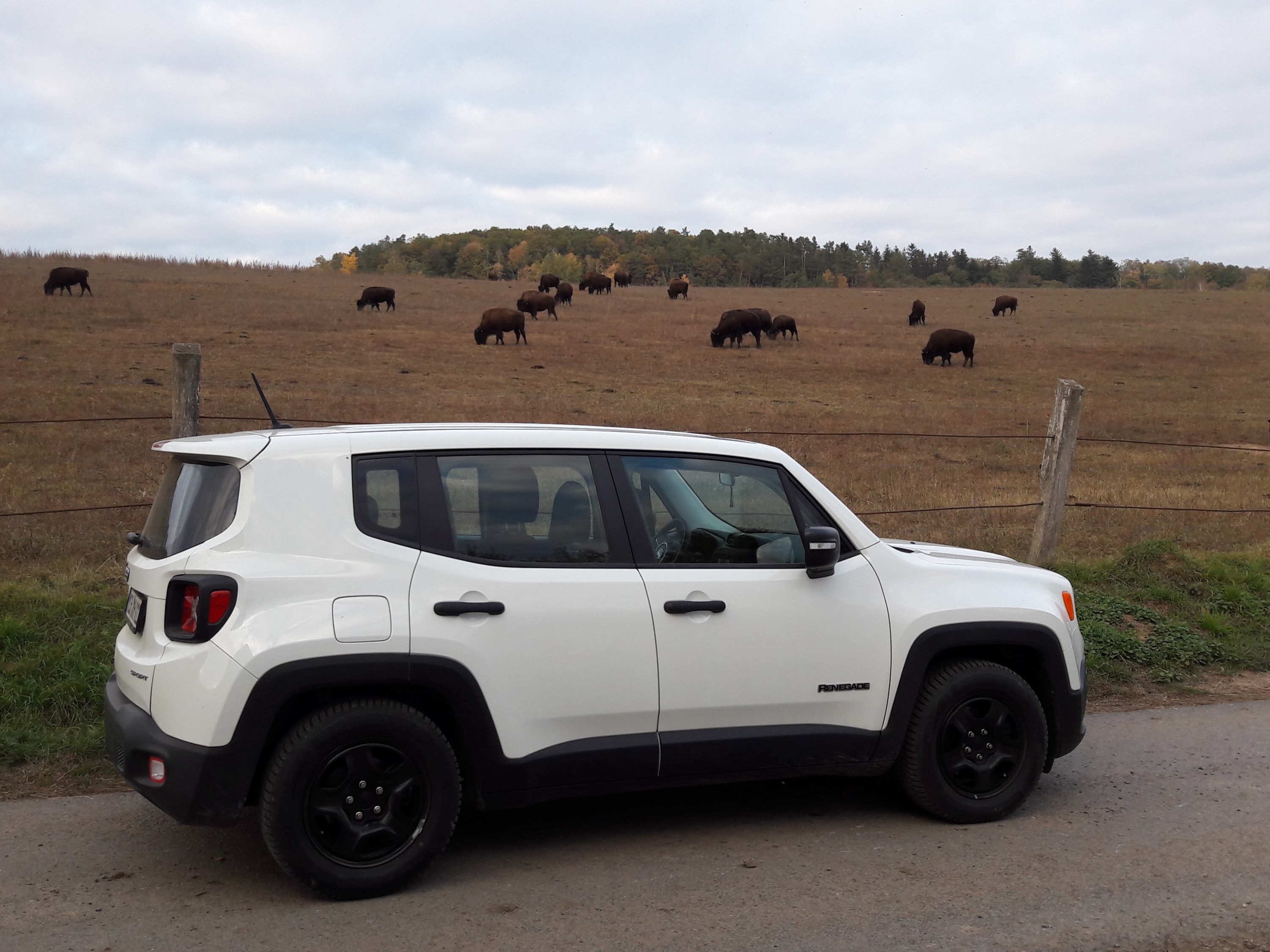 xxxxxxxxxxxxxxxxxxxxx