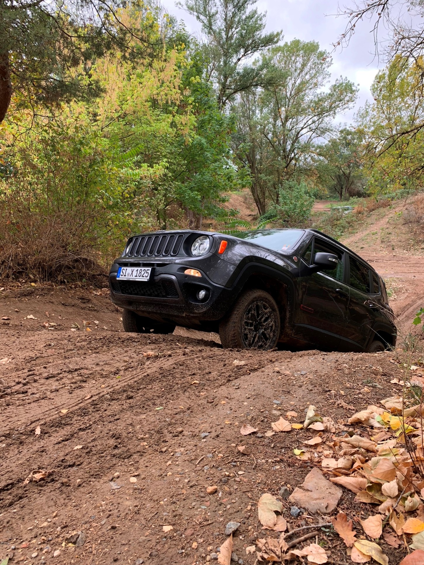 Offroad in Bauschheim