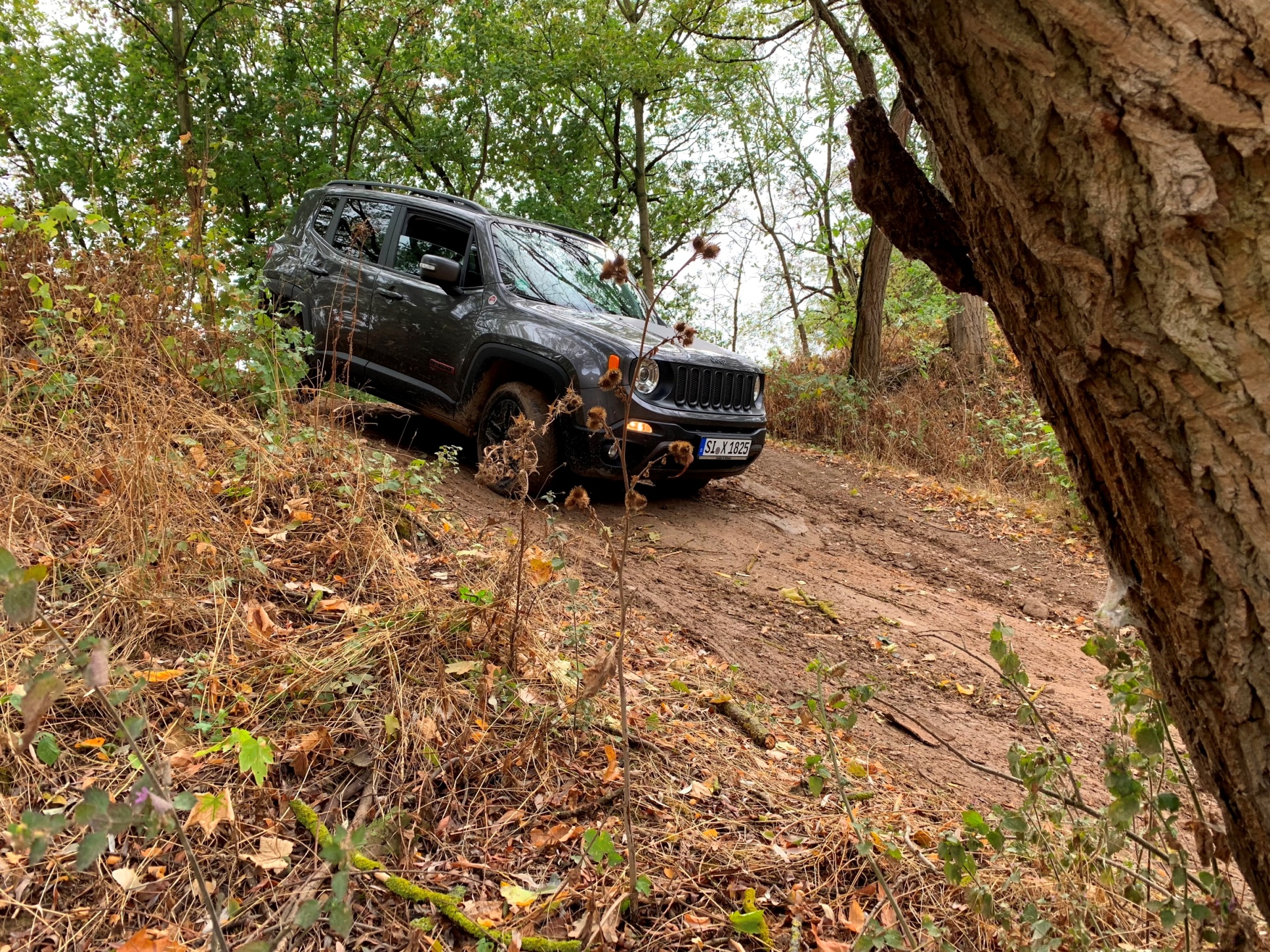 Offroad in Bauschheim