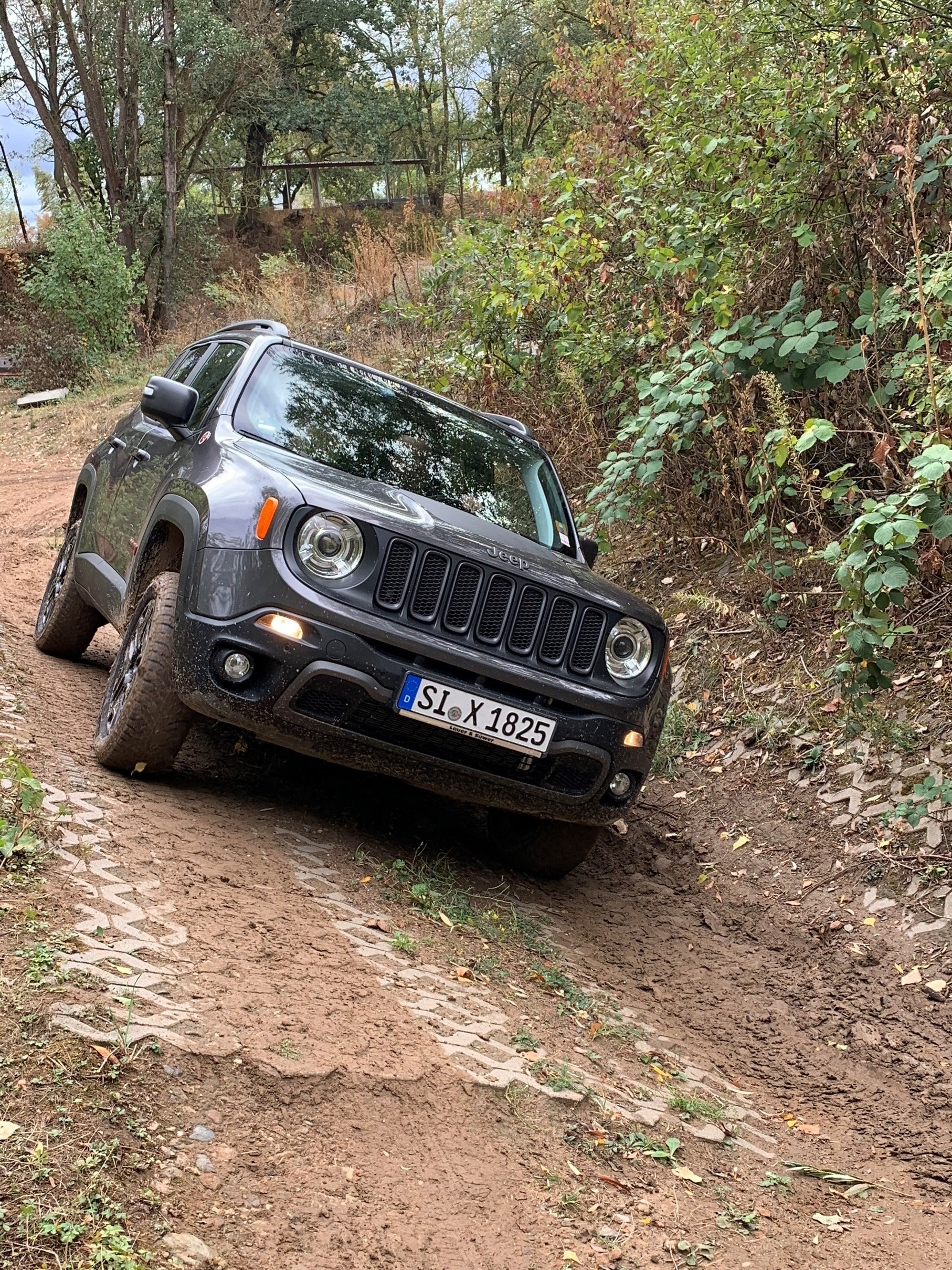 Offroad in Bauschheim