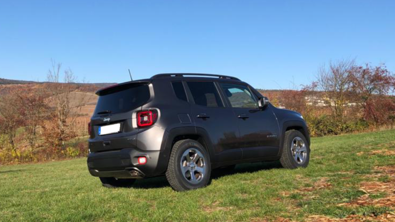 Neuer Rennegade mit "alten" Felgen (225/65/R17)