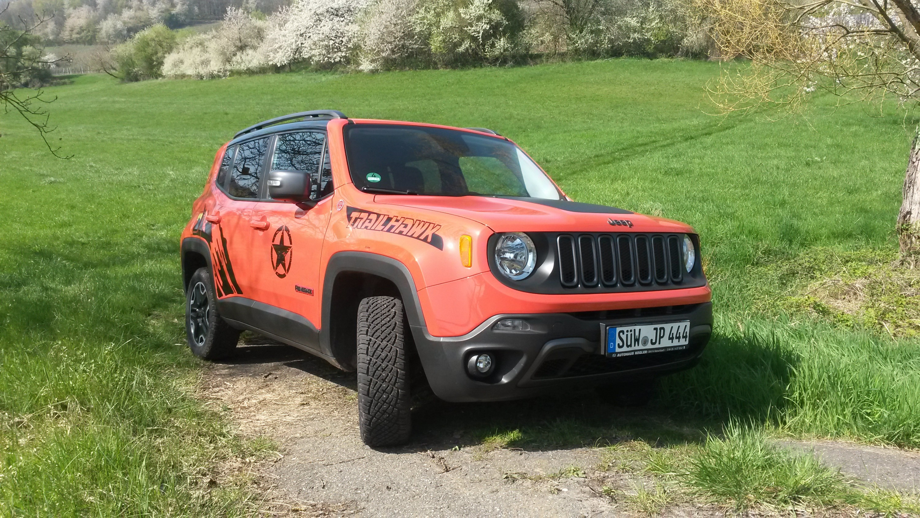 auf der grünen Wiese