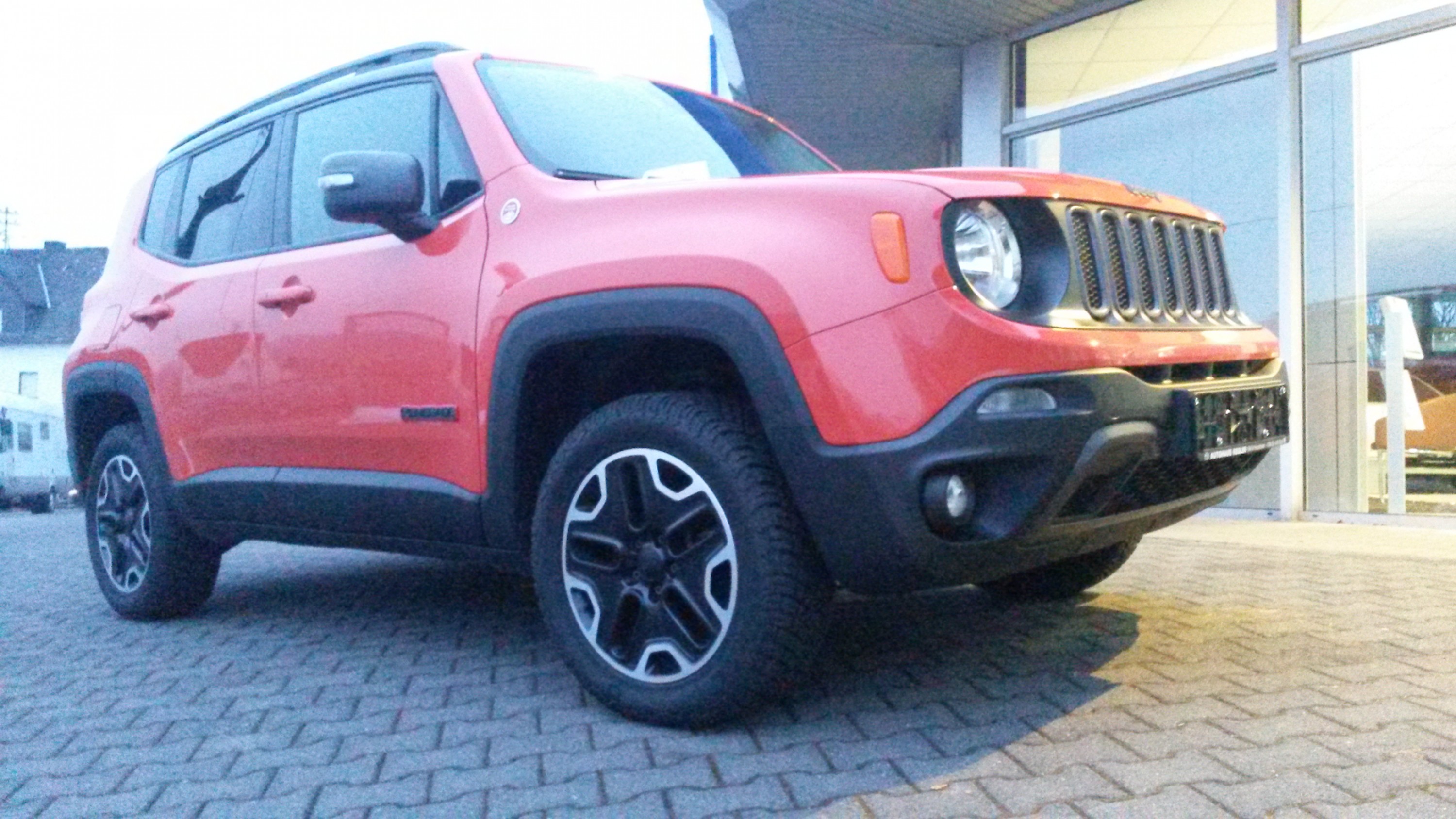 frisch aus dem Laden