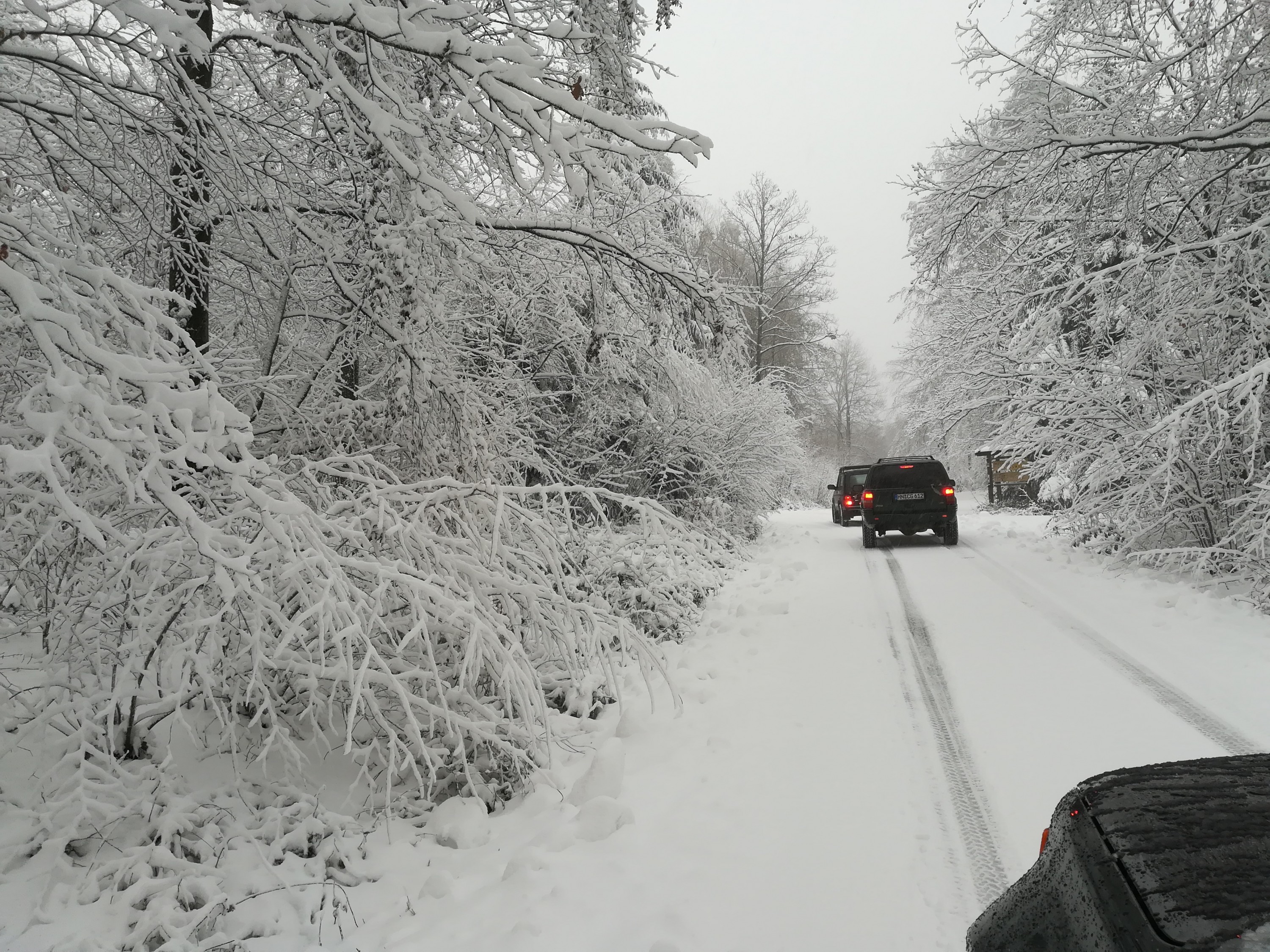 Gestern im Scnee spielen.