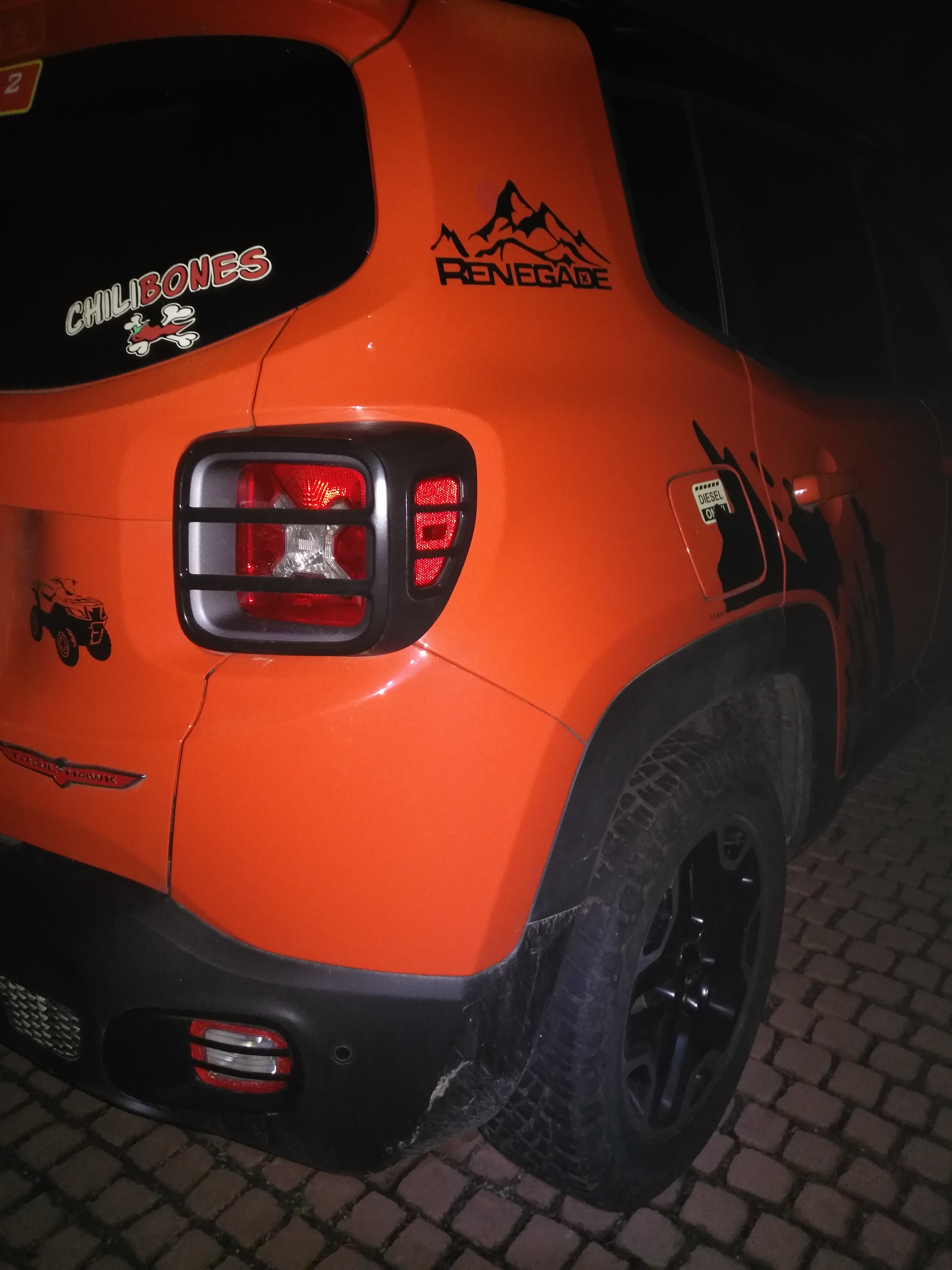 Lampen-Schutzgitter Renegade, Heckleuchte, Rückfahrscheinwerfer, Metall