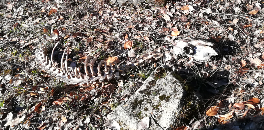 ..was da so im Steinbruch rumlag..