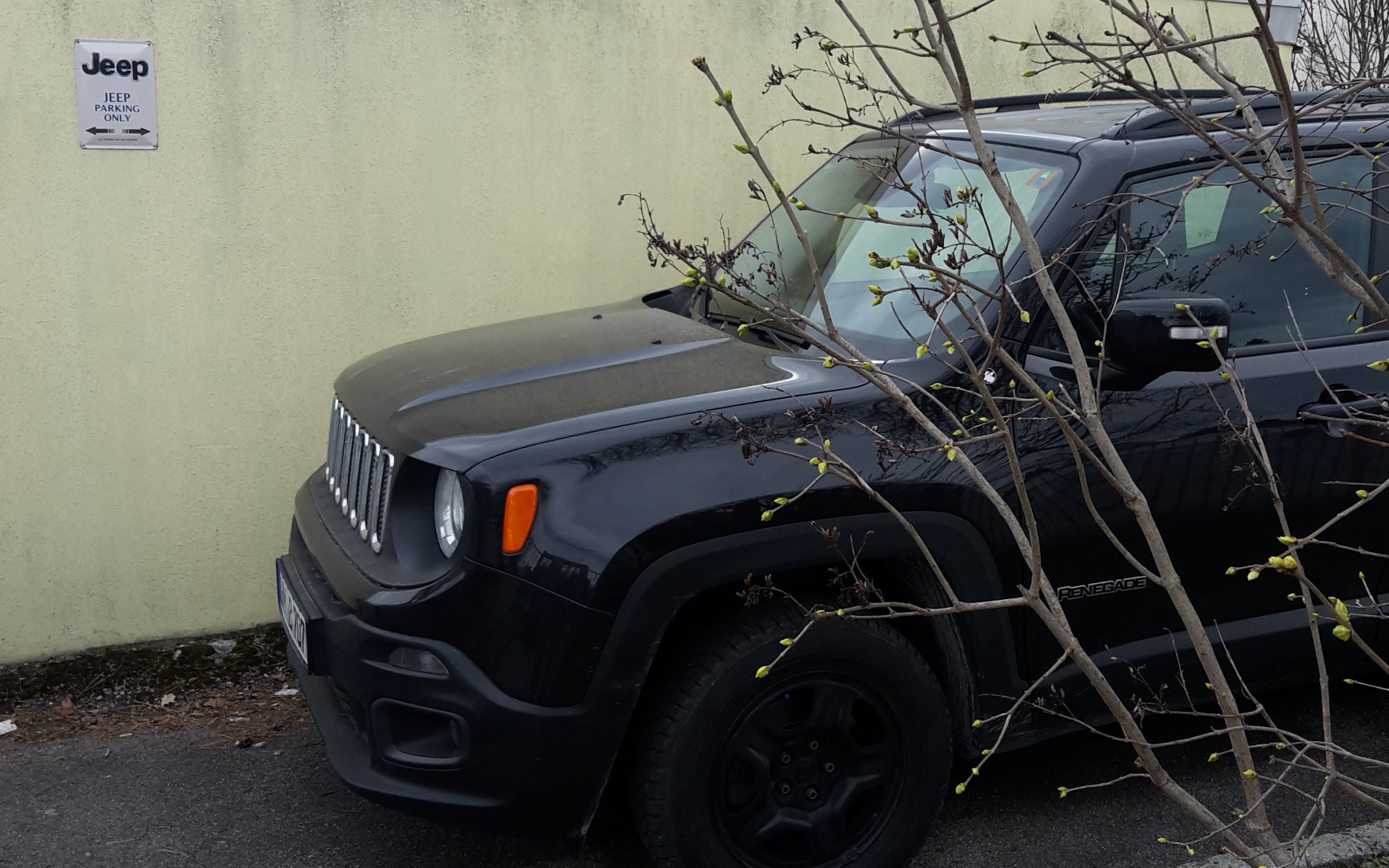 Frühling ist's, die Knospen sprießen!