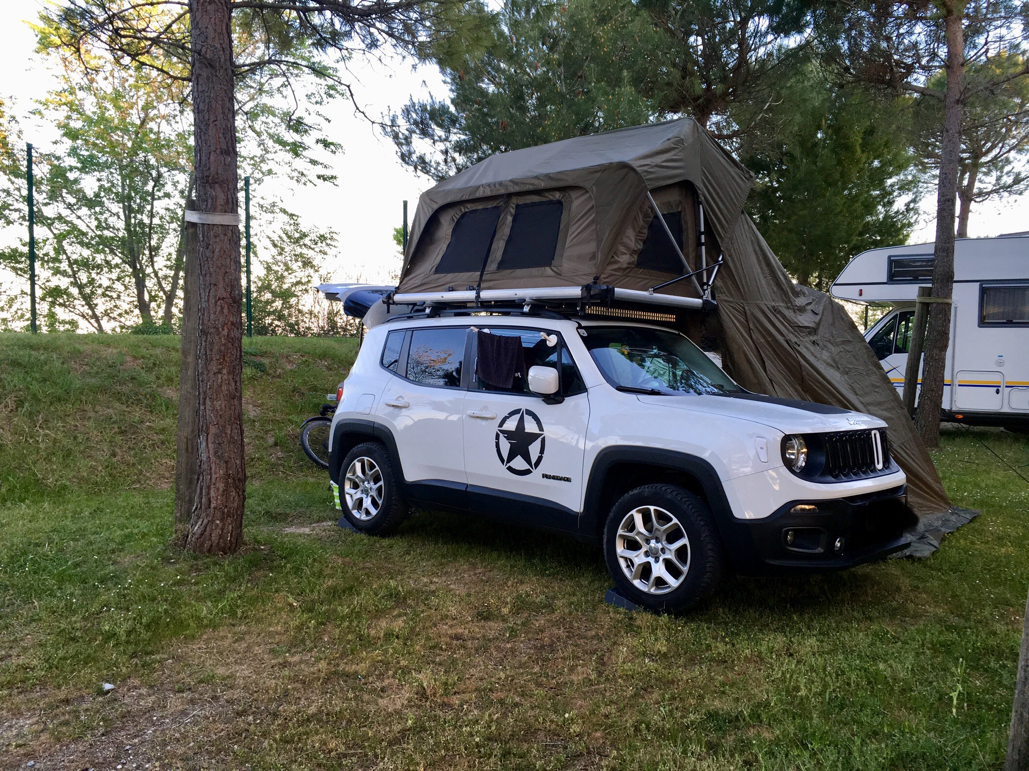 Renni mit Zelt ⛺️