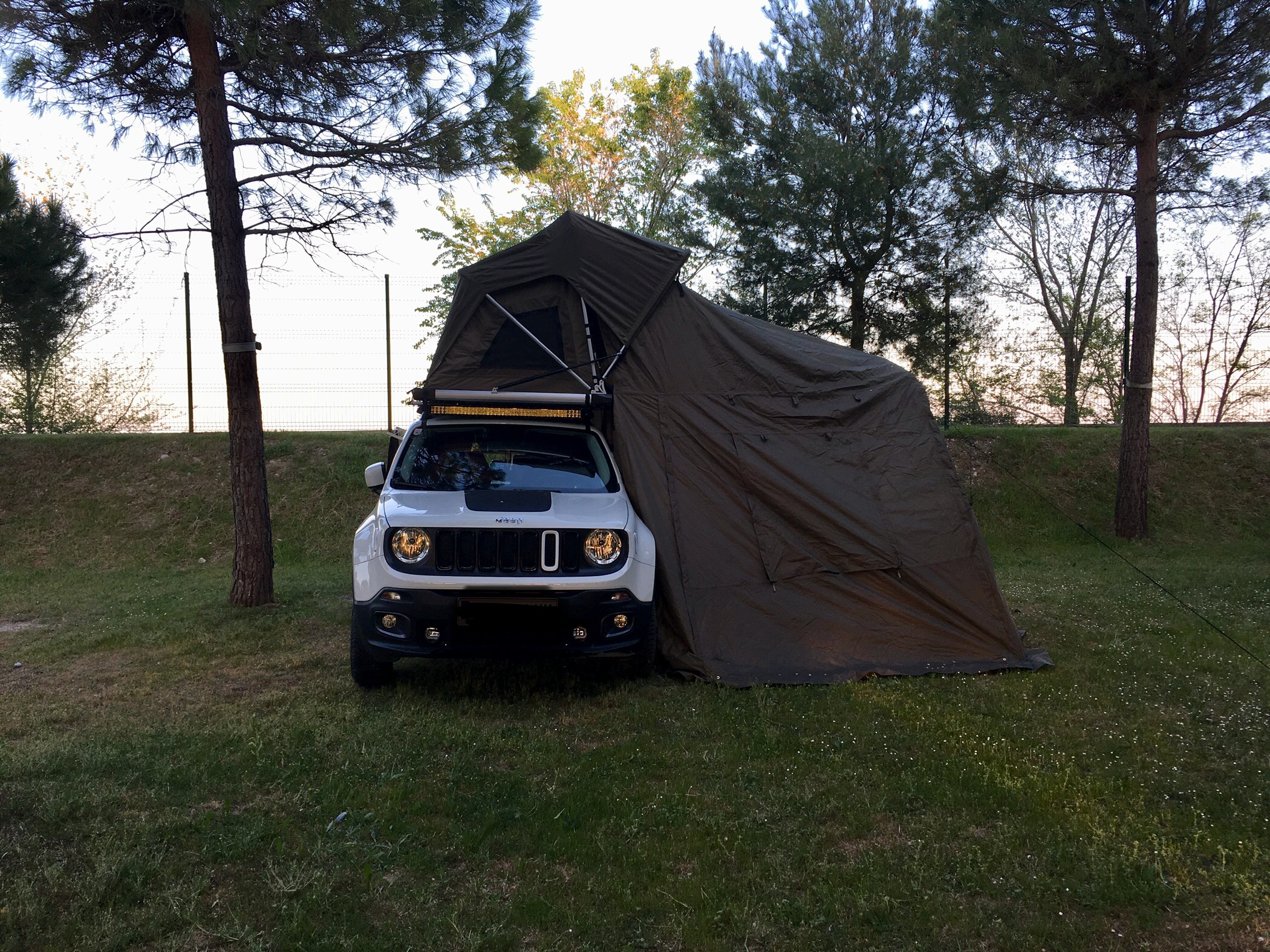 Renni mit Zelt ⛺️