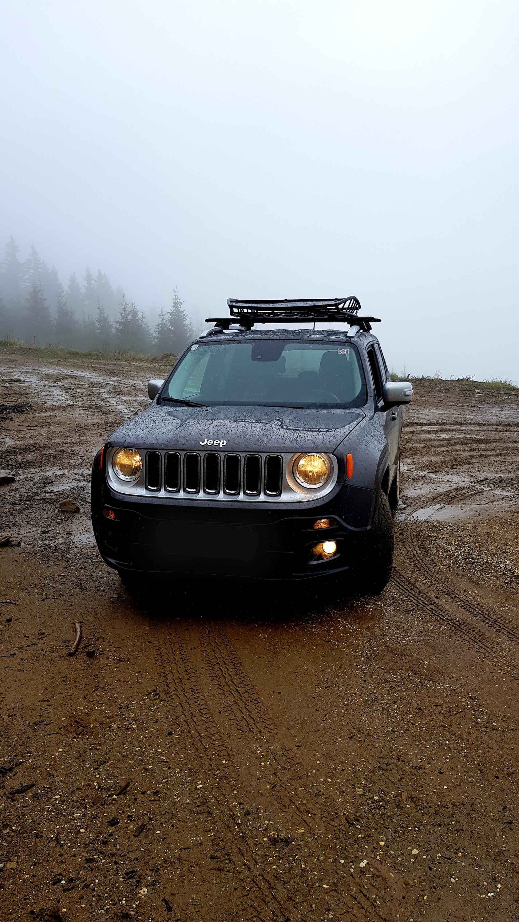 Mit dem Renny am Berg