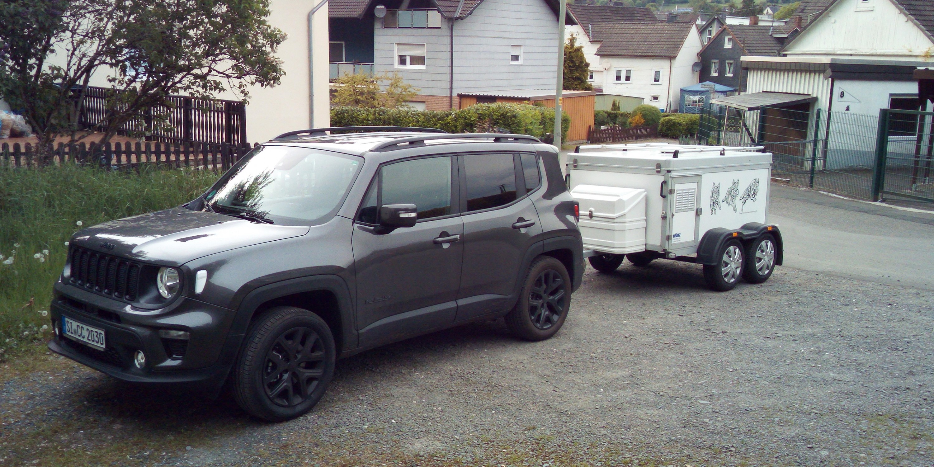 Die Pferde sind angespannt