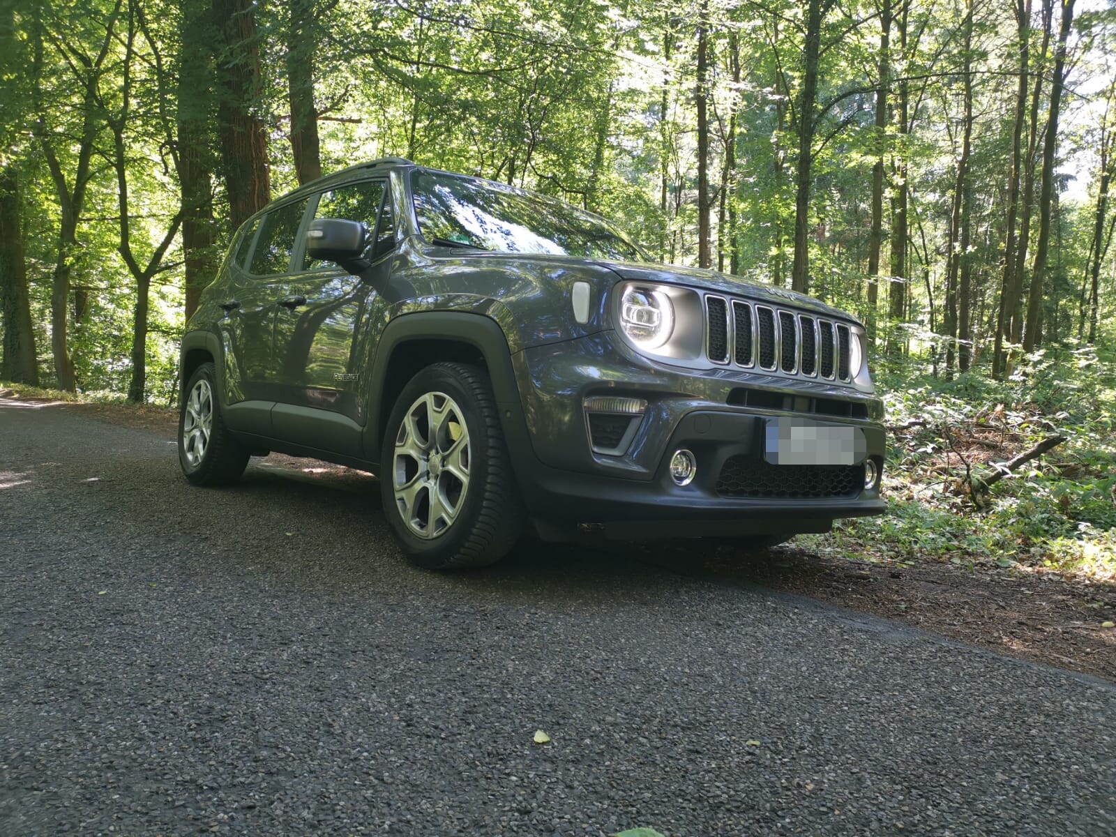 Kleine Ausfahrt in den Wald