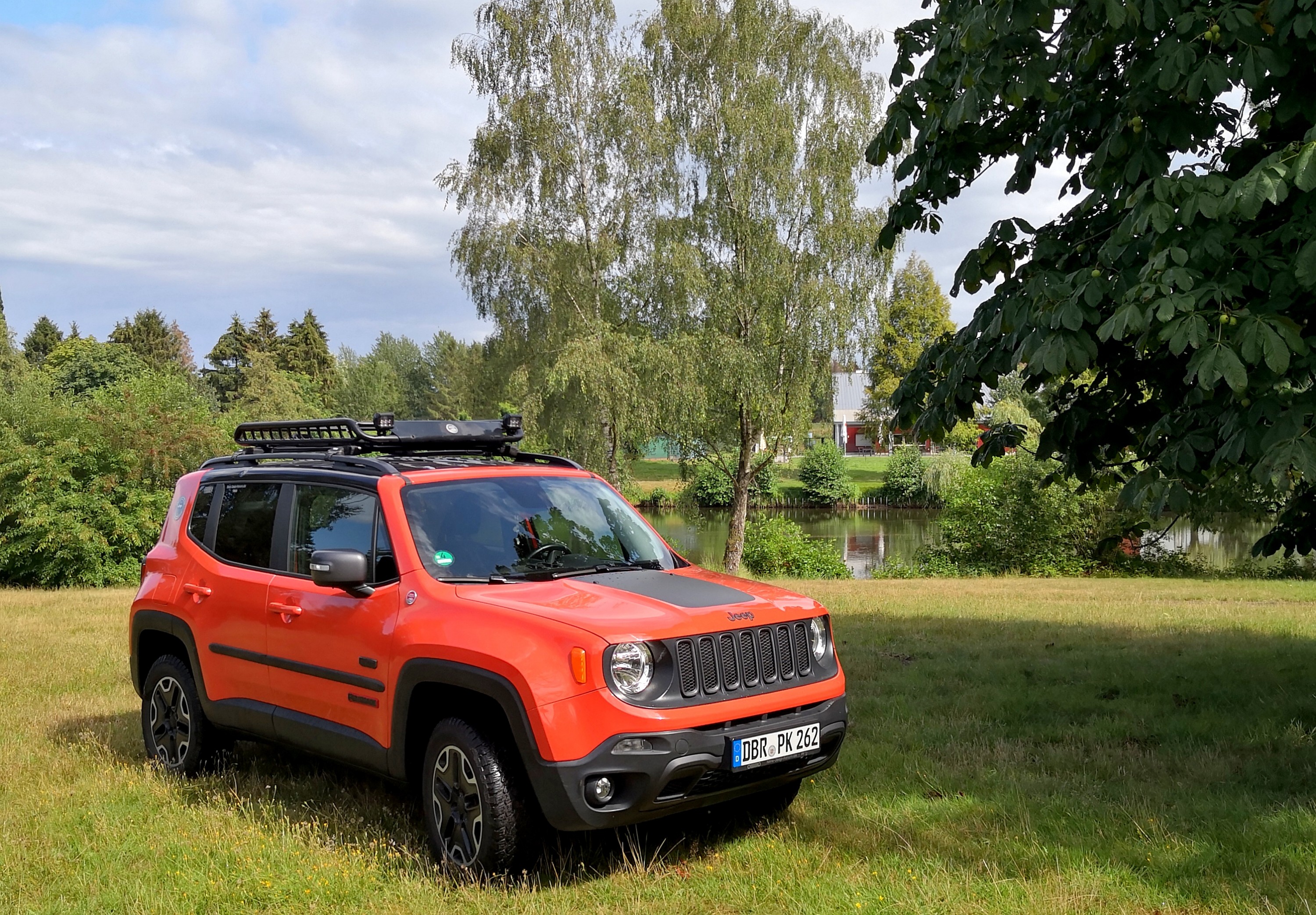 Mal wieder ein photographisches Update - natürlich auf artgerechtem Umtergrund ... na ja, so ziemlich jedenfalls ...