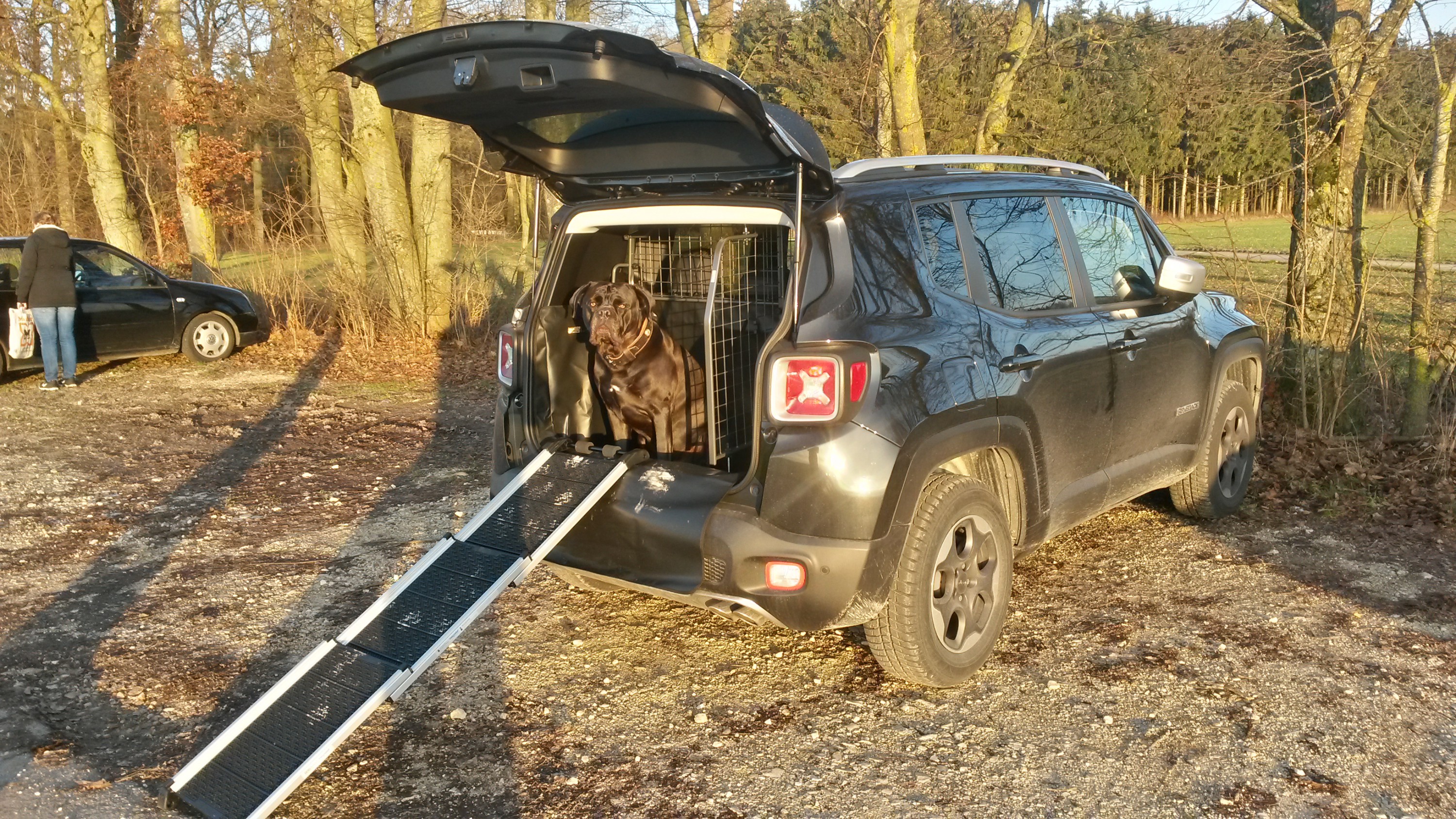 Hundekofferraumausstattung