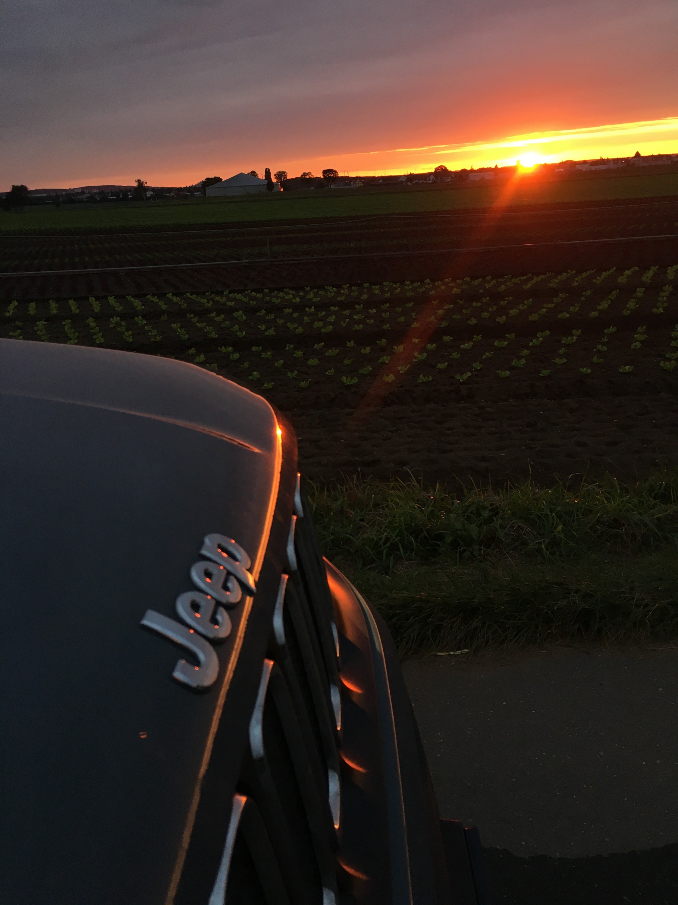 Sonnenuntergang im Knoblsuchsland 3