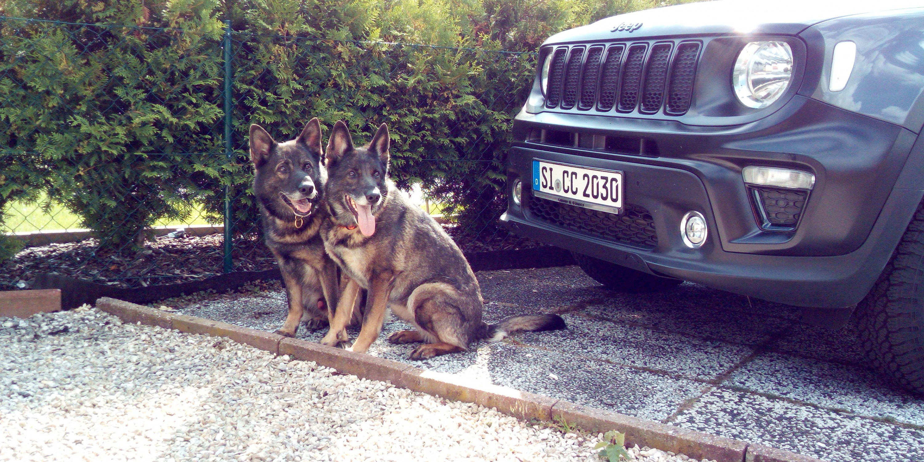 Dürfen wir jetzt auch endlich mal offroad?!?