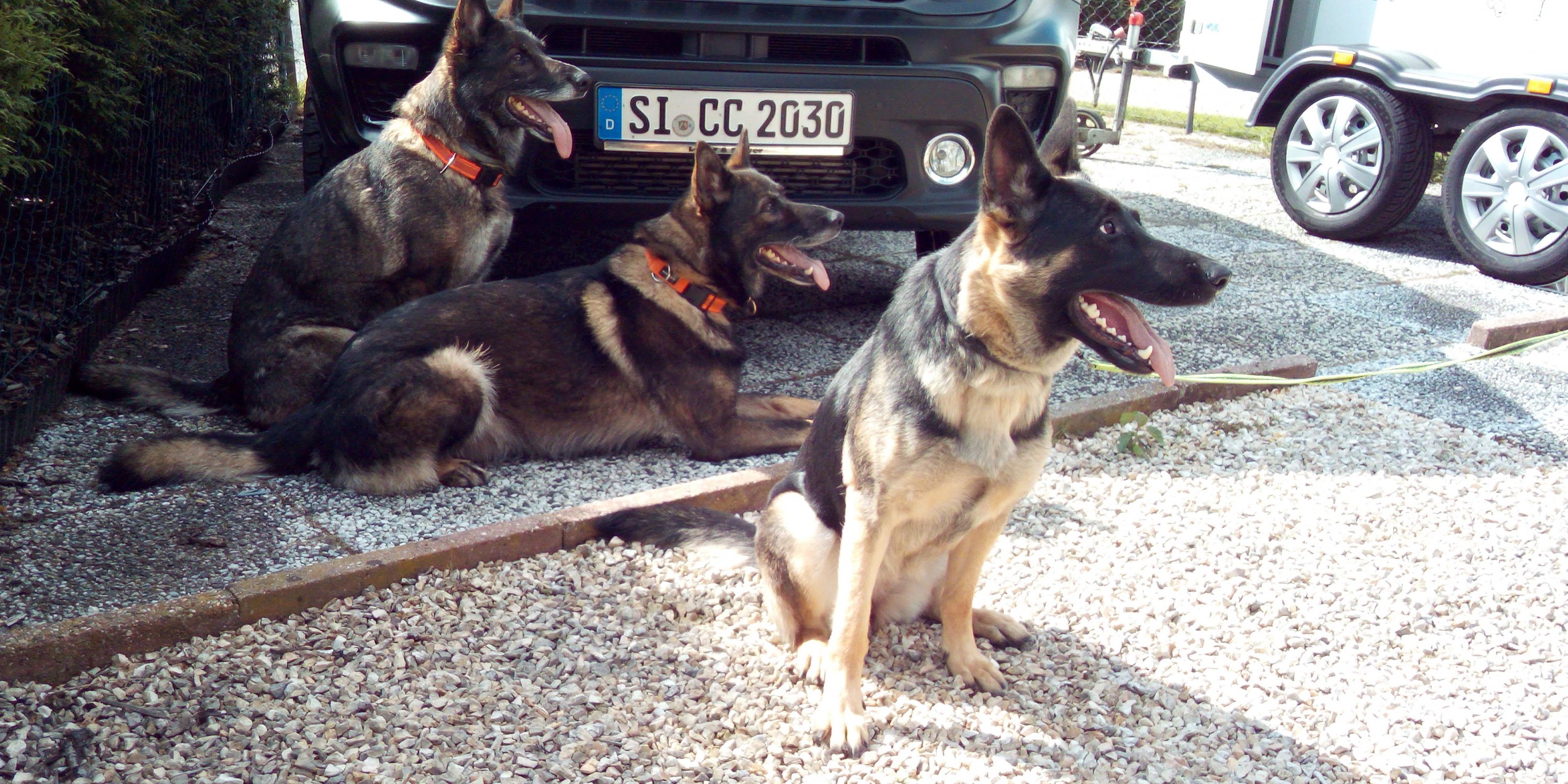 Ich auch, ich auch!!!!