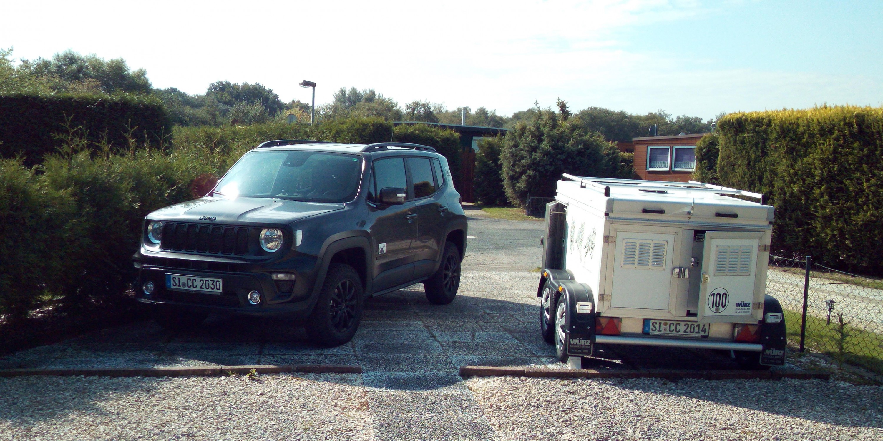 Free Willy sonnt sich sich und träumt von....