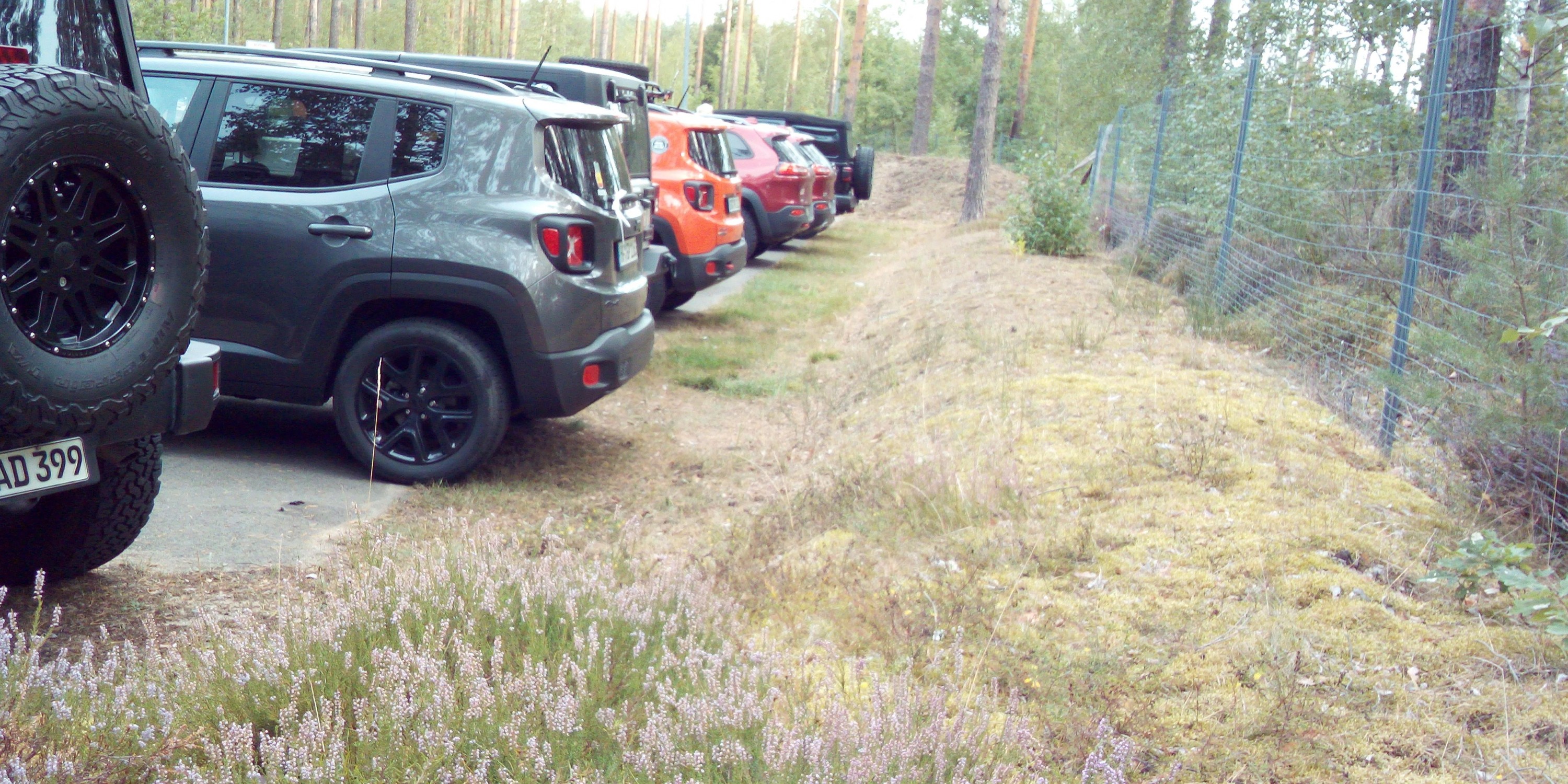 Einer schöner als der andere!