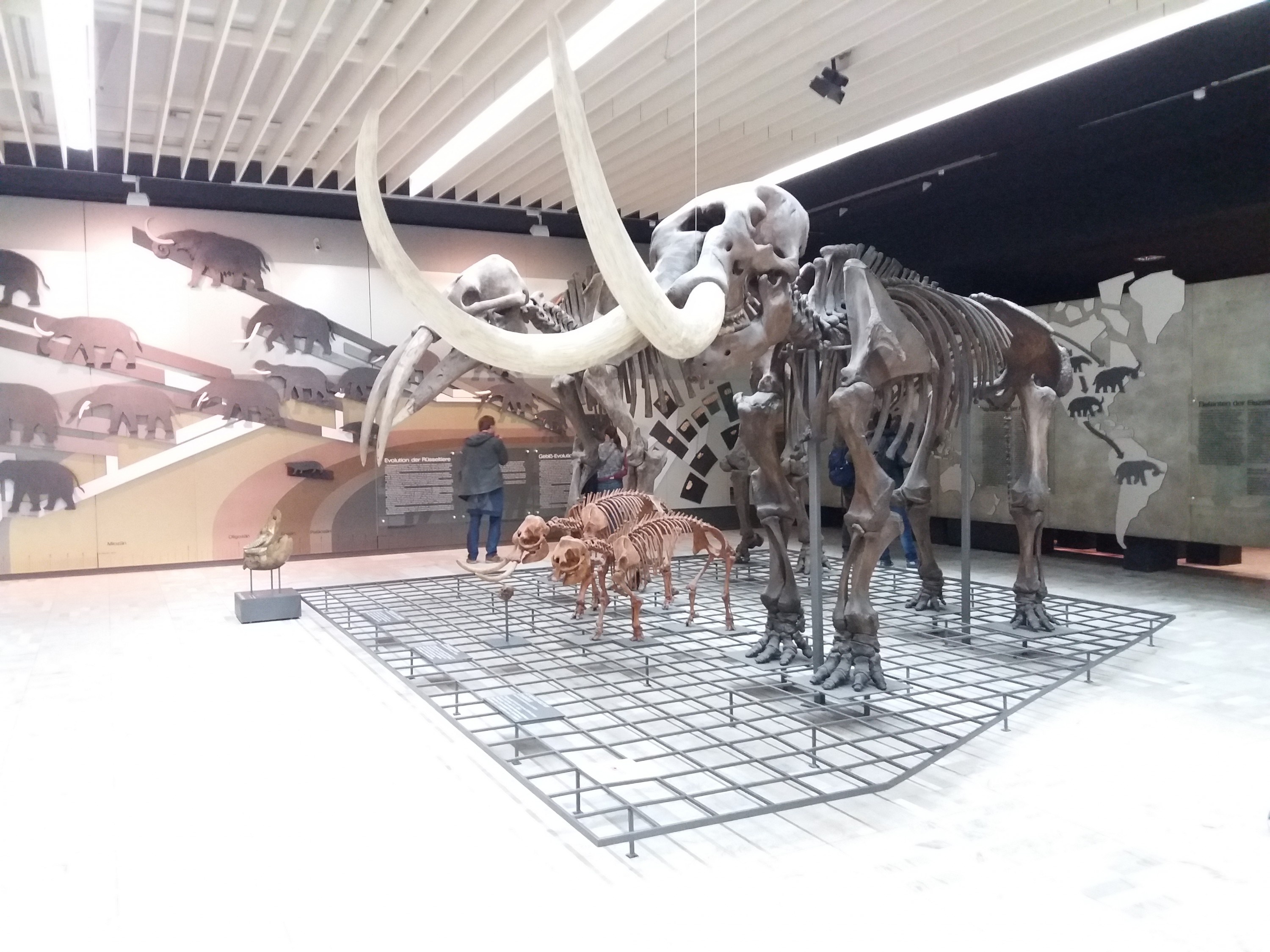 Think big at the weekend