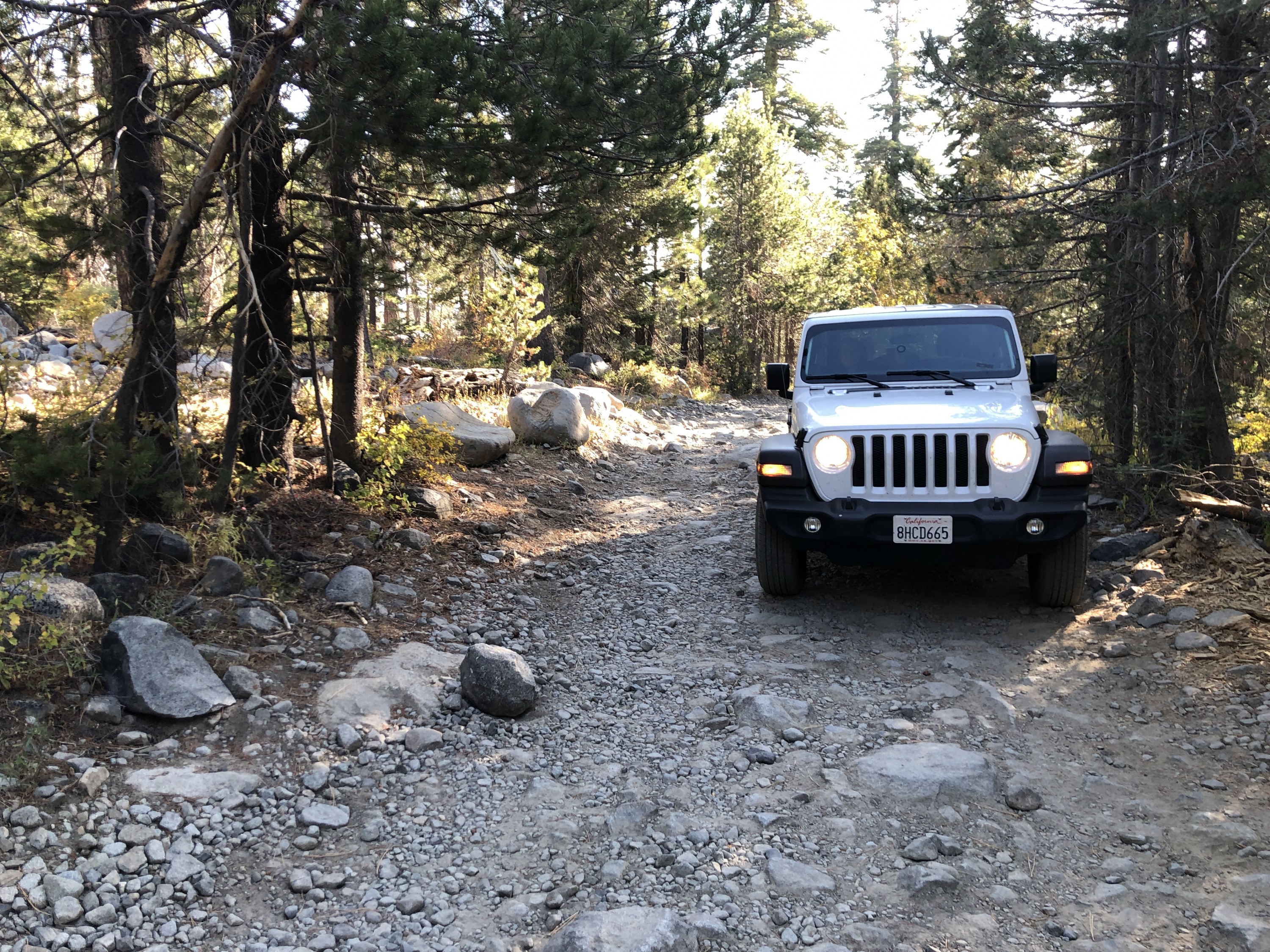 Rubicon- Trail