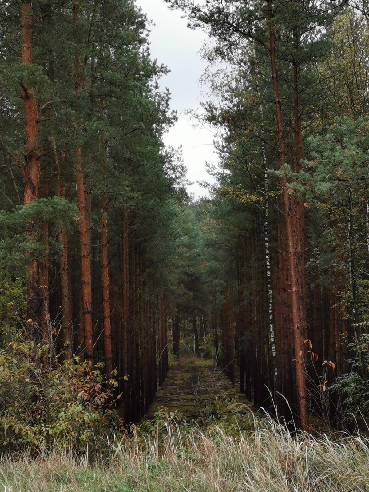 Nur gucken nicht fahren