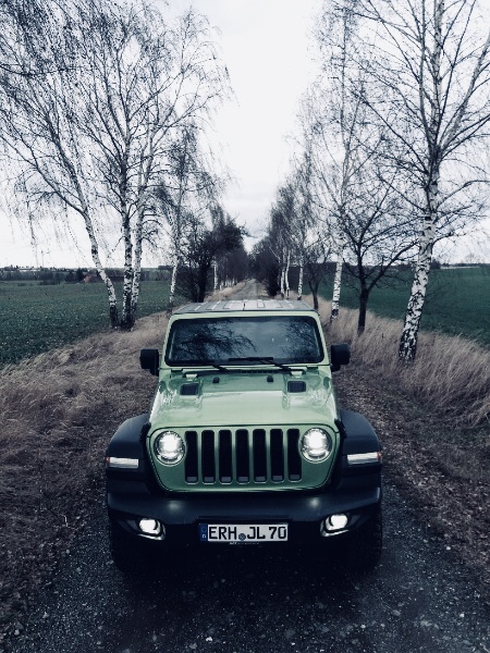 Wrangler JL Rubicon in Allee